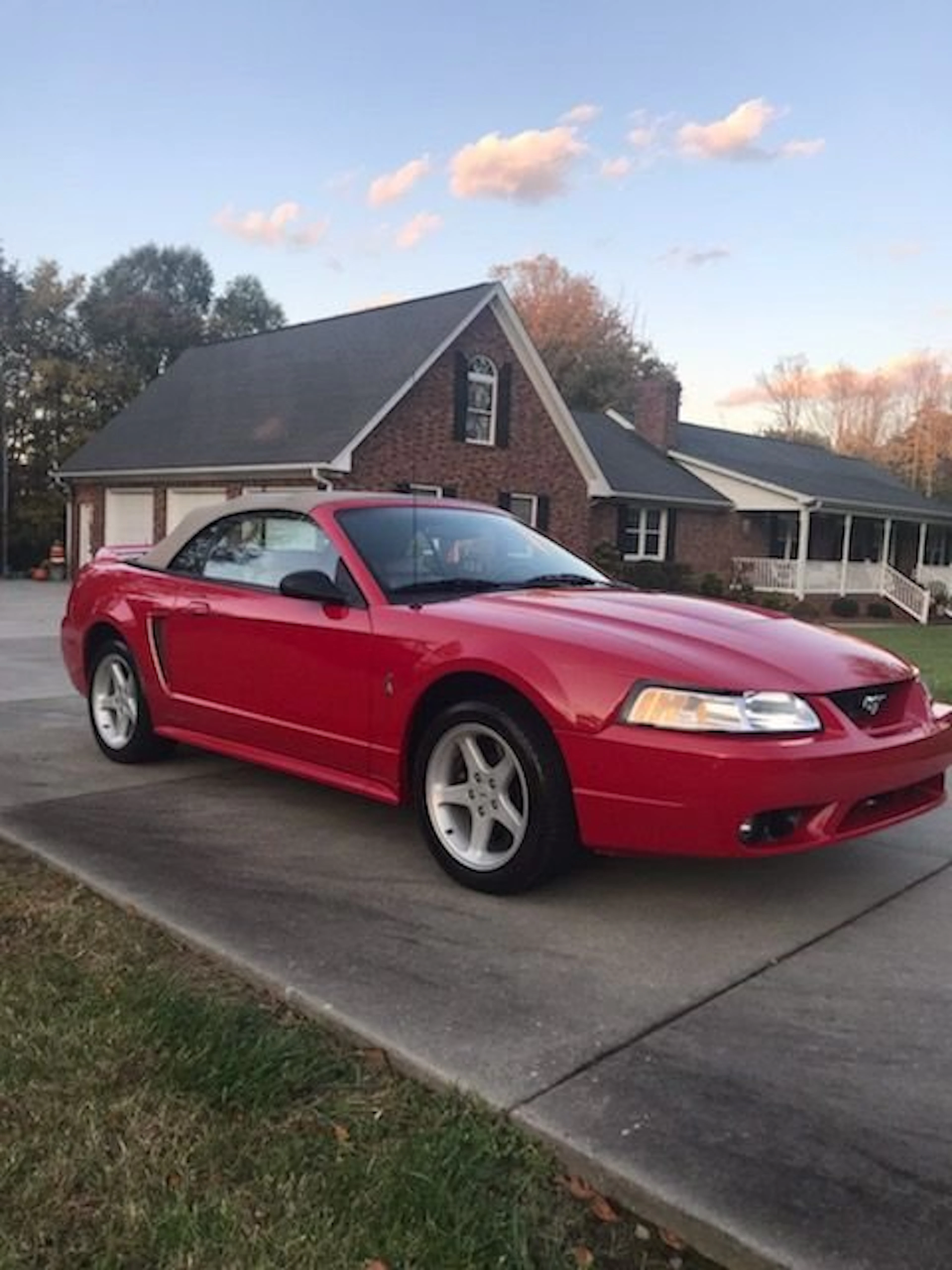 1999 Ford Mustang SVT Cobra Convertible 1FAFP46V4XF182489