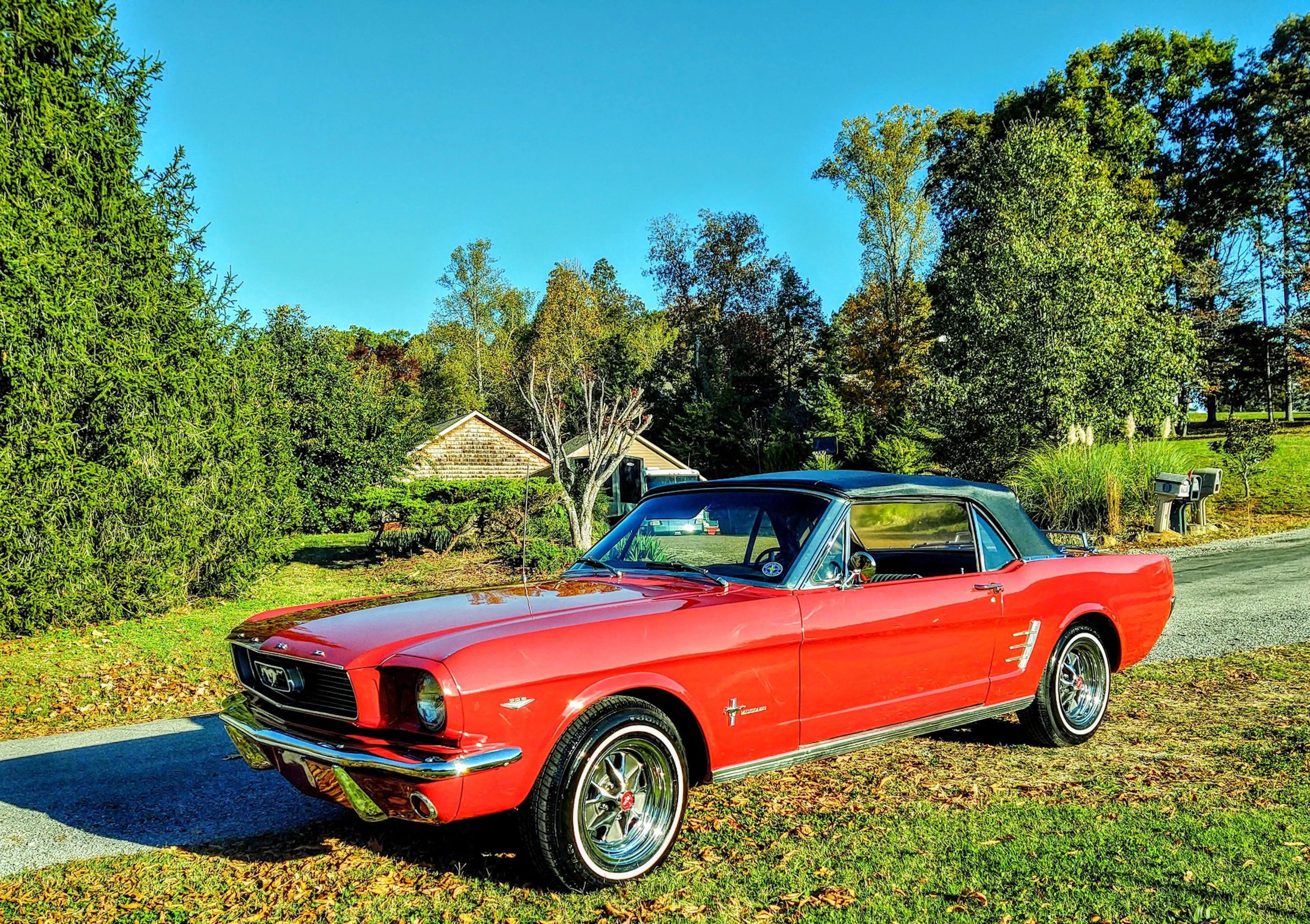 1966 Ford Mustang Convertible 6T08C233899