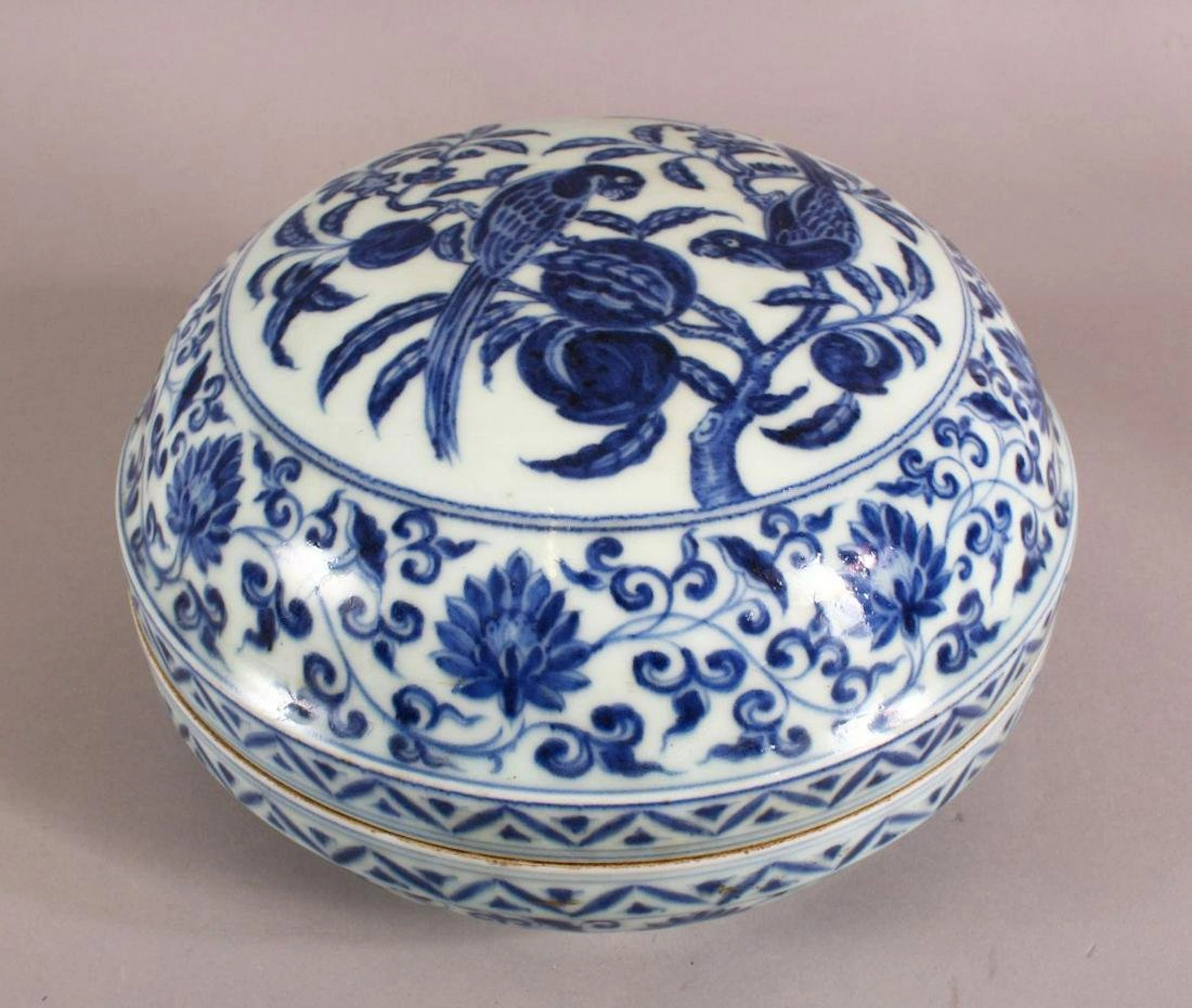A GOOD CHINESE BLUE AND WHITE PORCELAIN BOX AND COVER,
