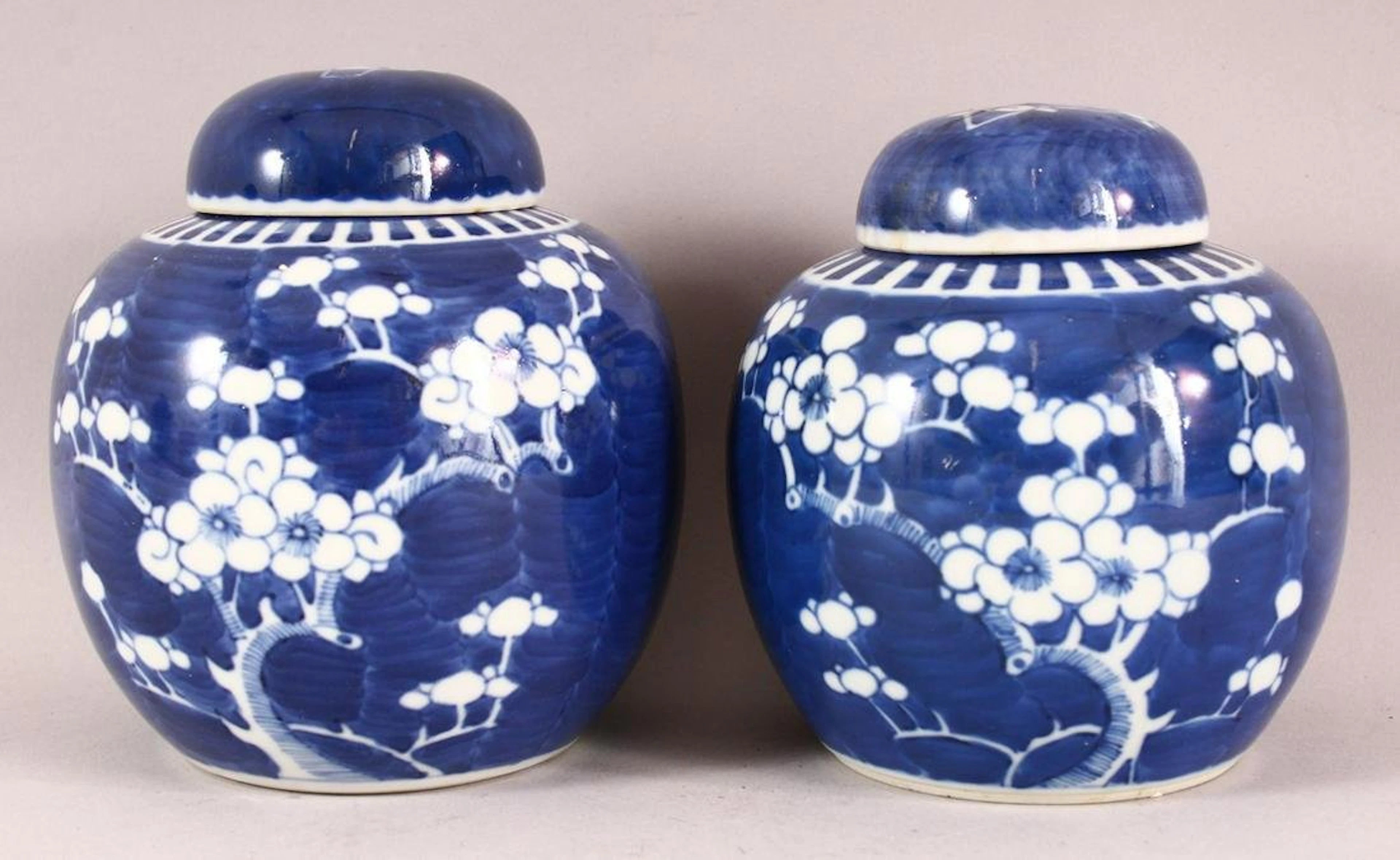 TWO 19TH / 20TH CENTURY CHINESE BLUE & WHITE PORCELAI