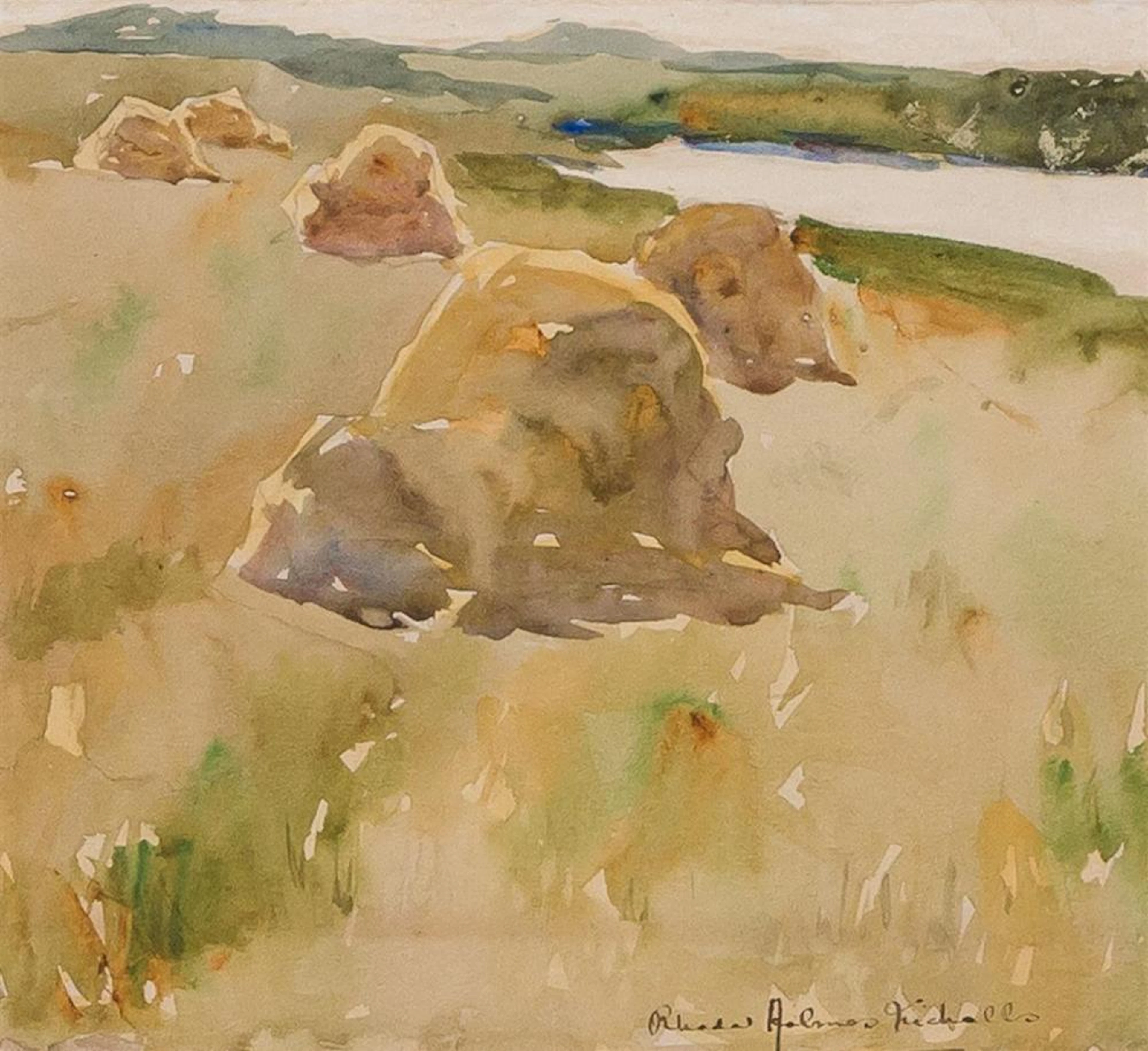 RHODA HOLMES NICHOLS