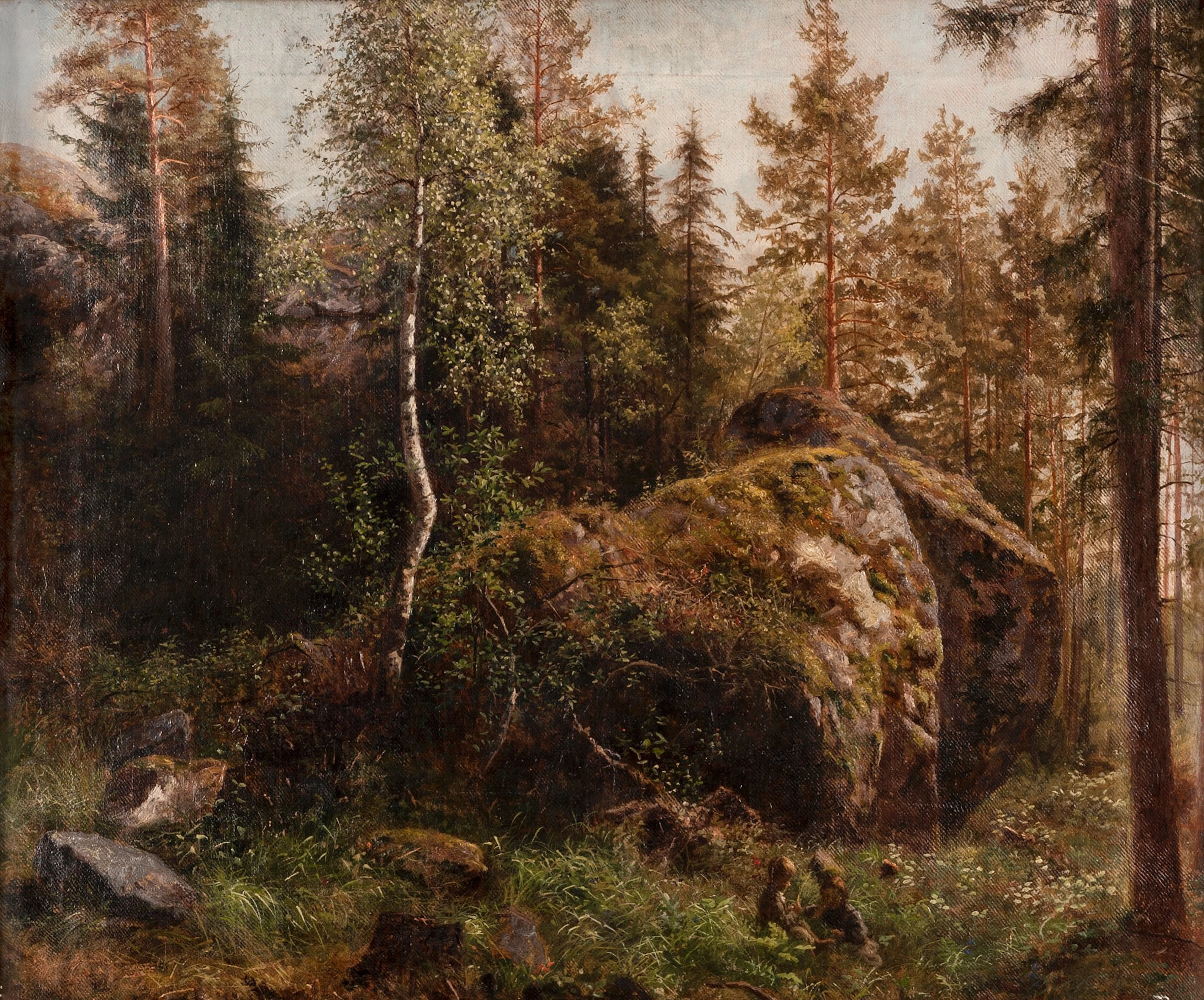 SKOGSINTERIÖR