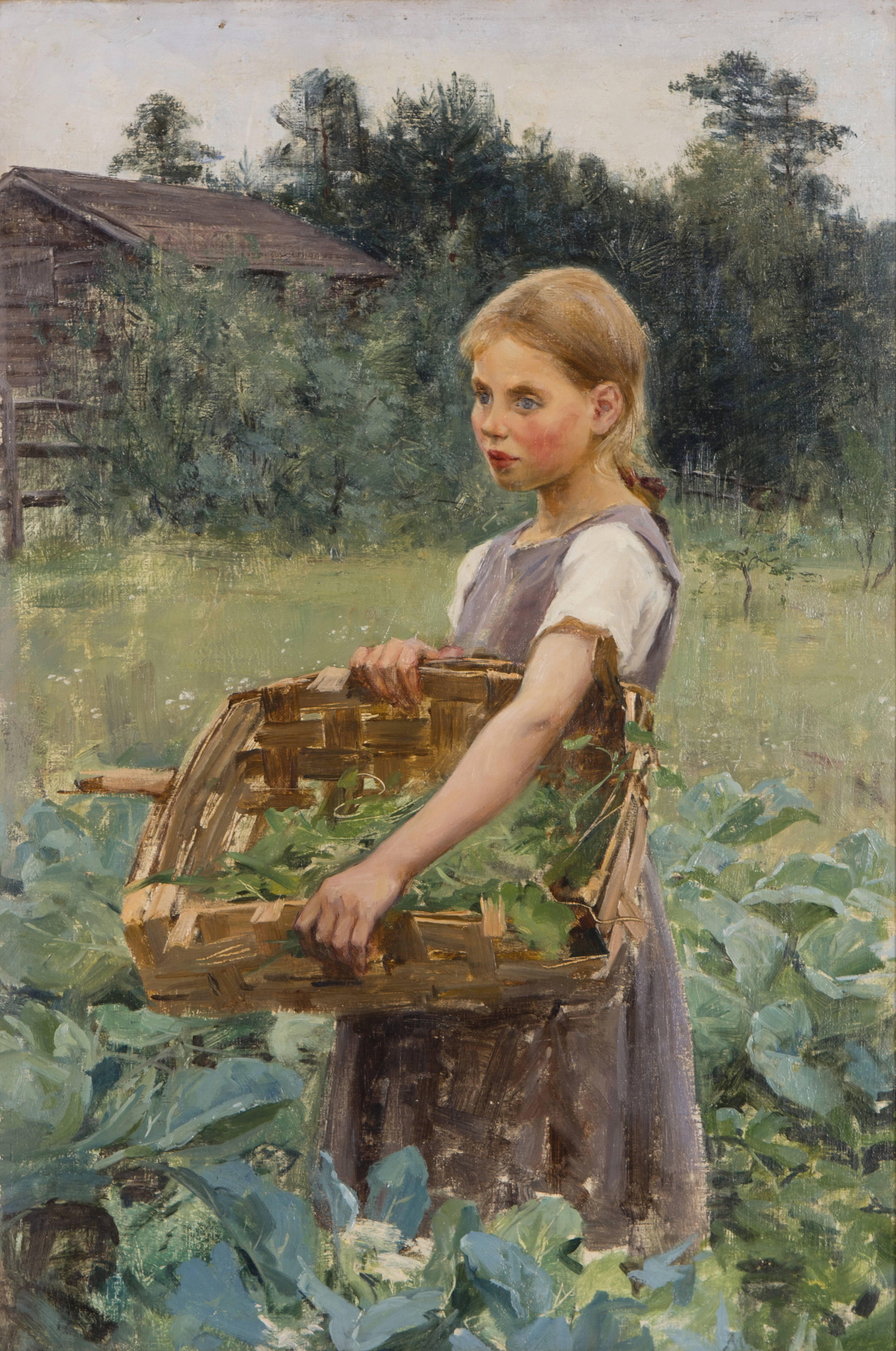 RENSAR KÅLFÄLT