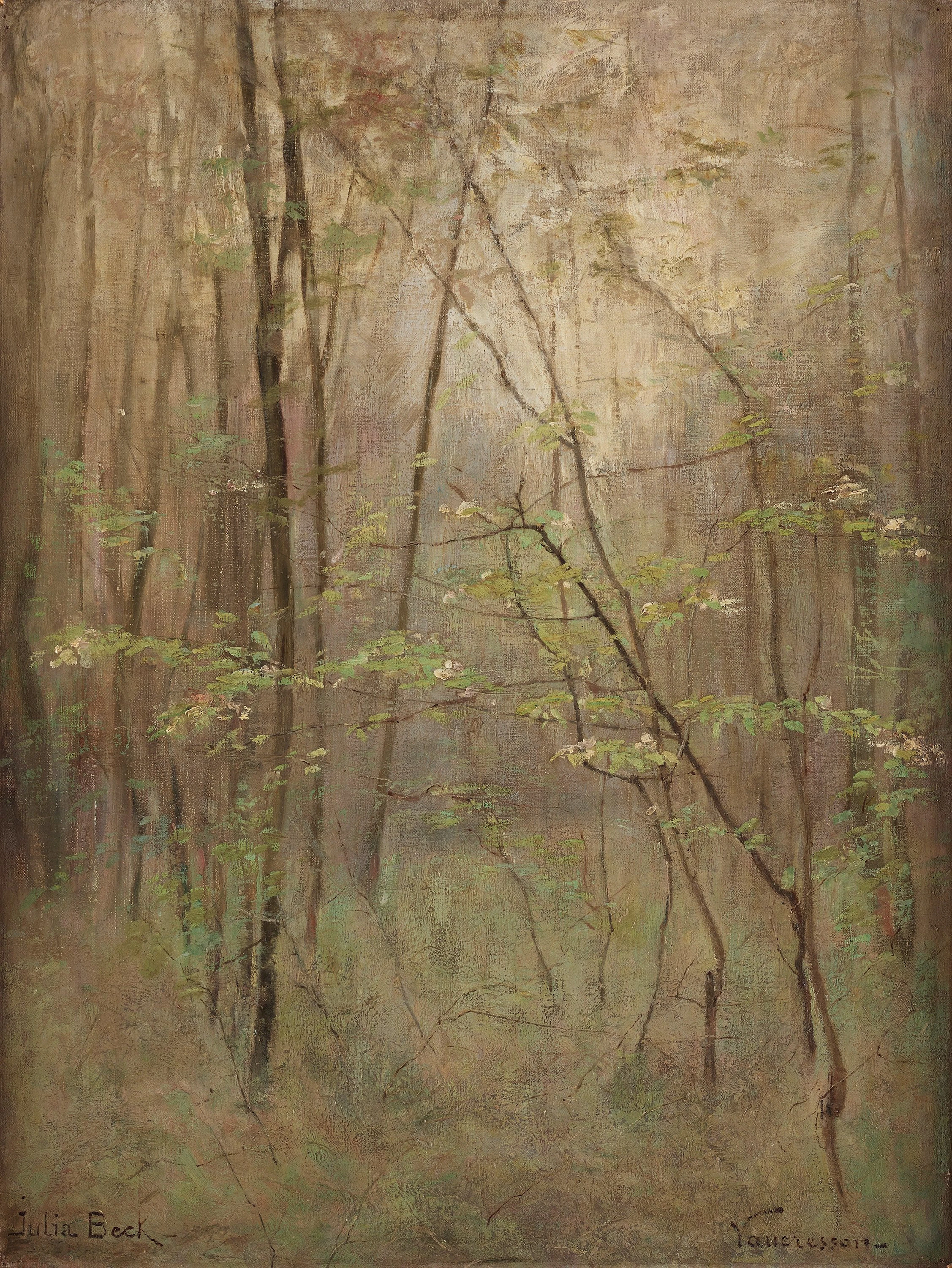 Julia Beck