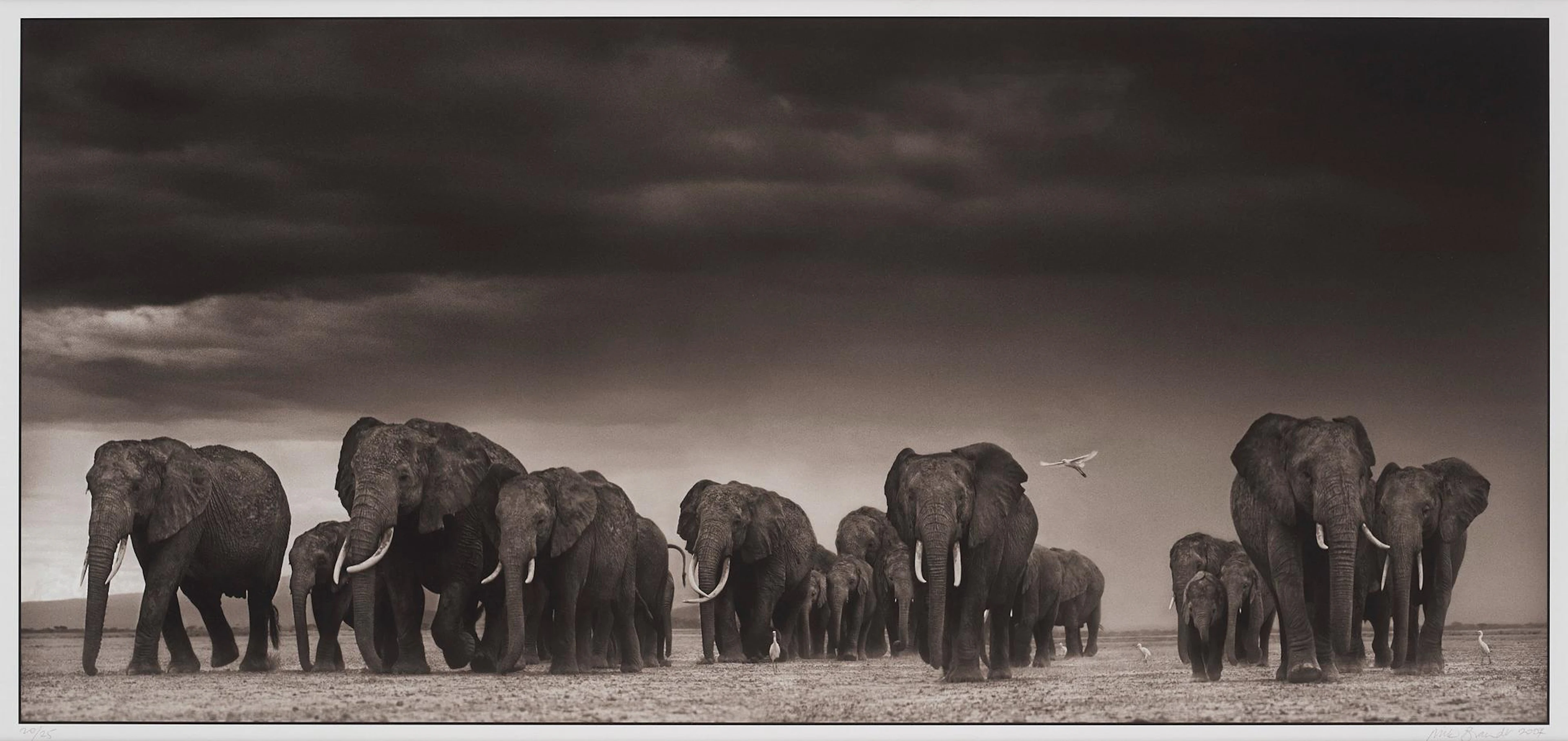 Nick Brandt