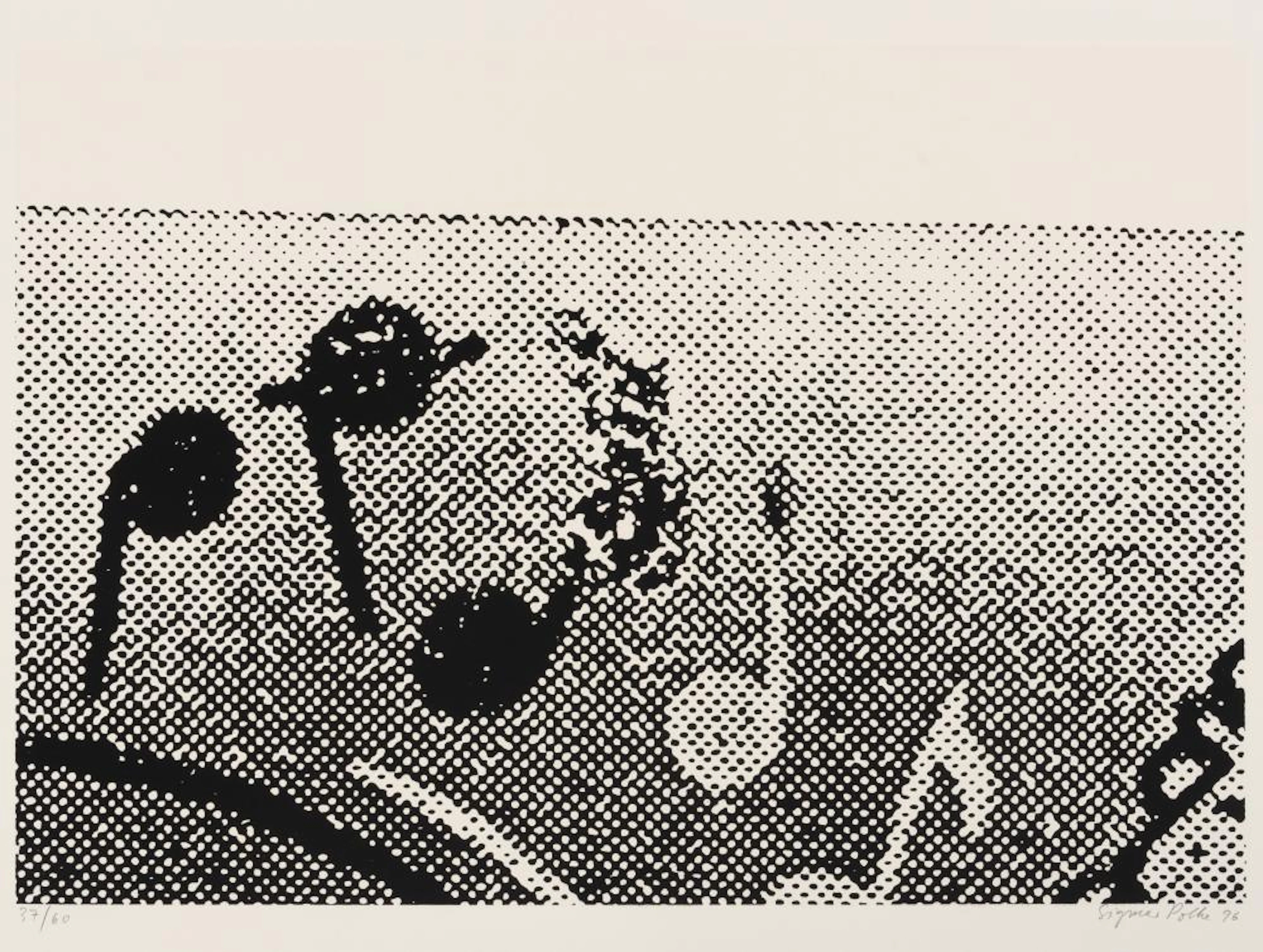 Polke, Sigmar