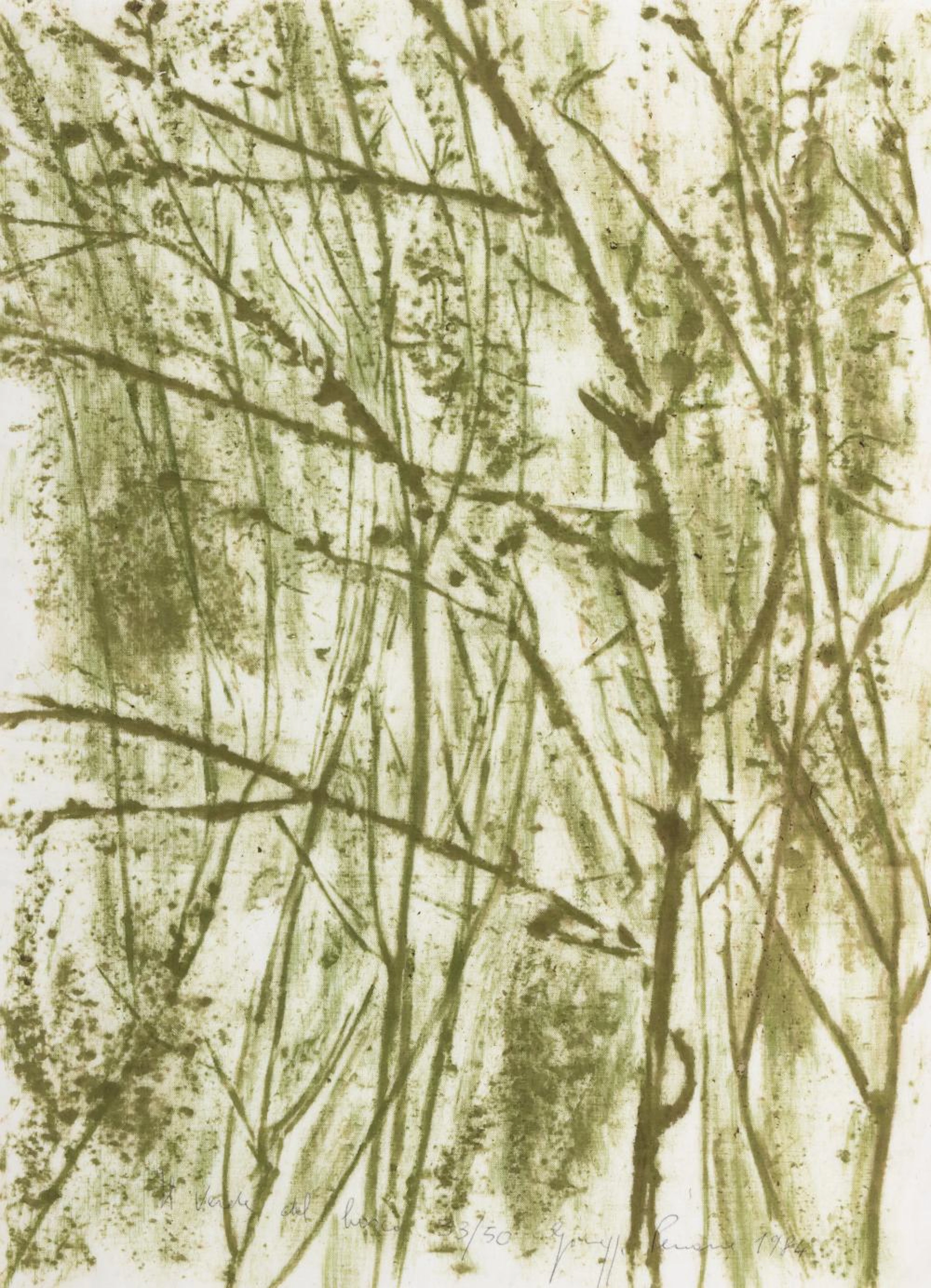 Penone, Giuseppe