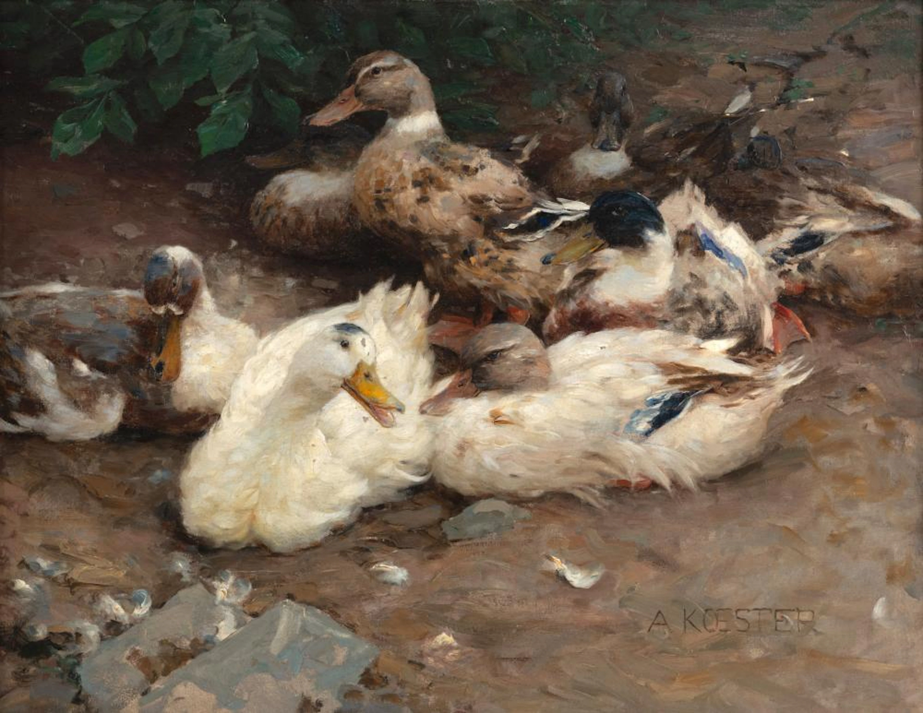 Koester, Alexander