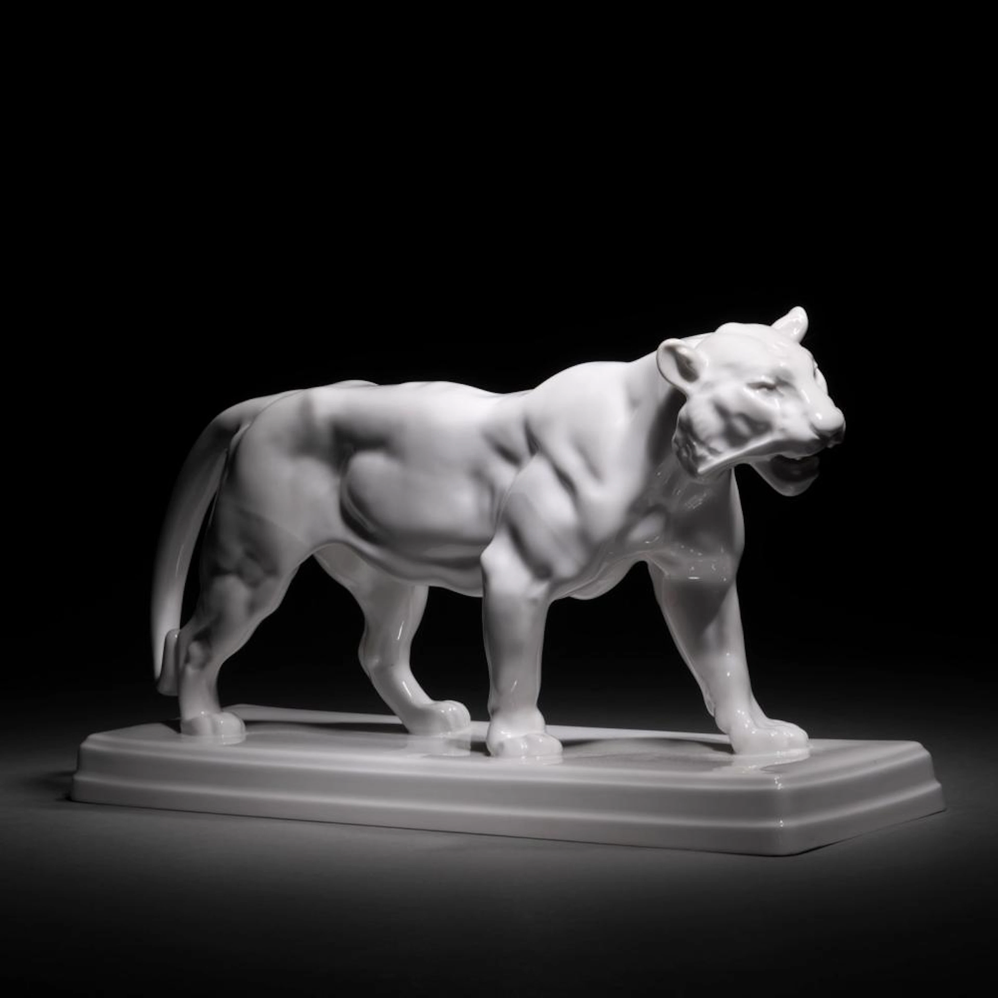 A PACING TIGER