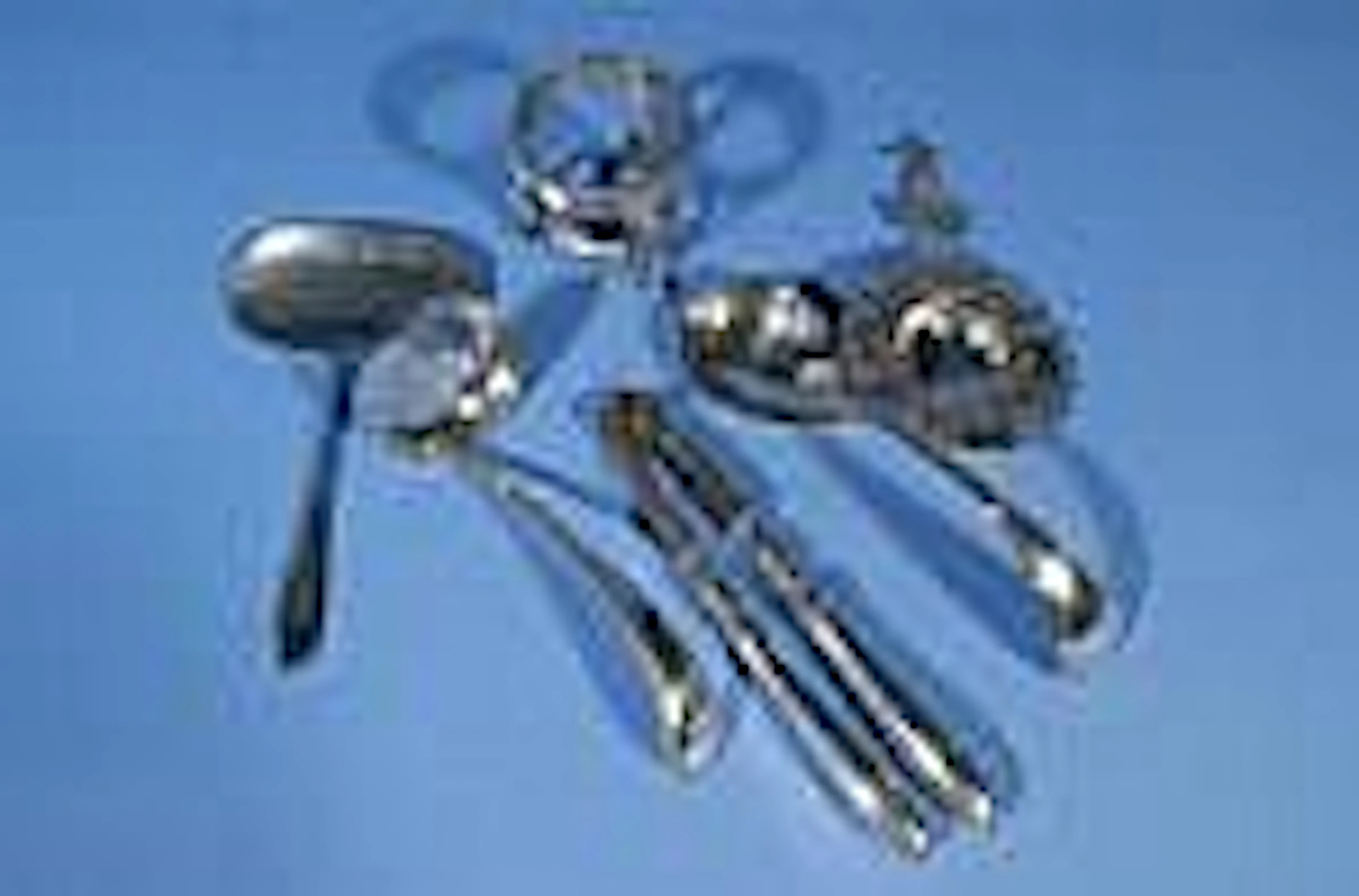 Dutch silver sugar spoon, petitfour slice,