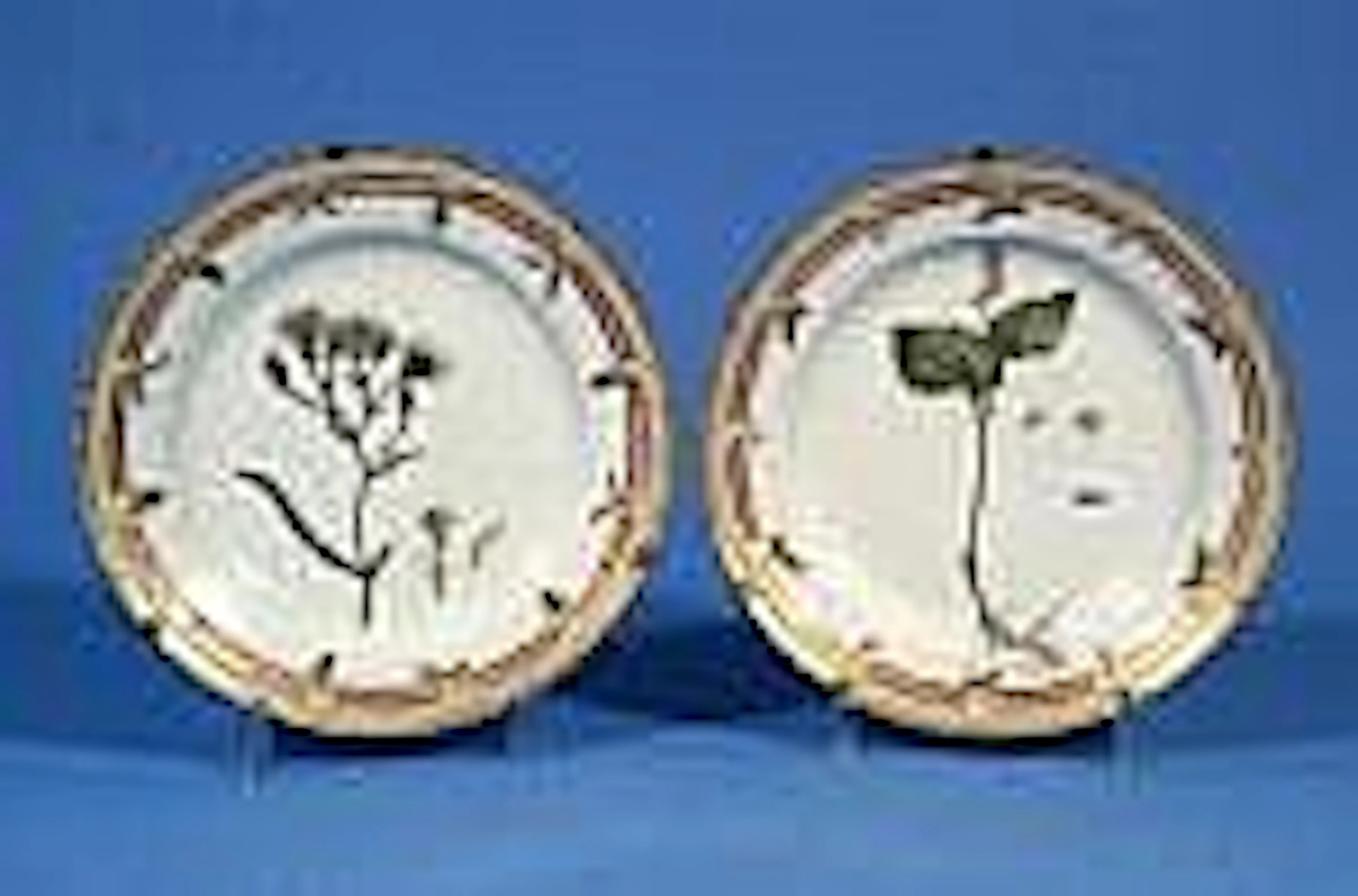 Two Royal Copenhagen wall plates, Aster Tripolium