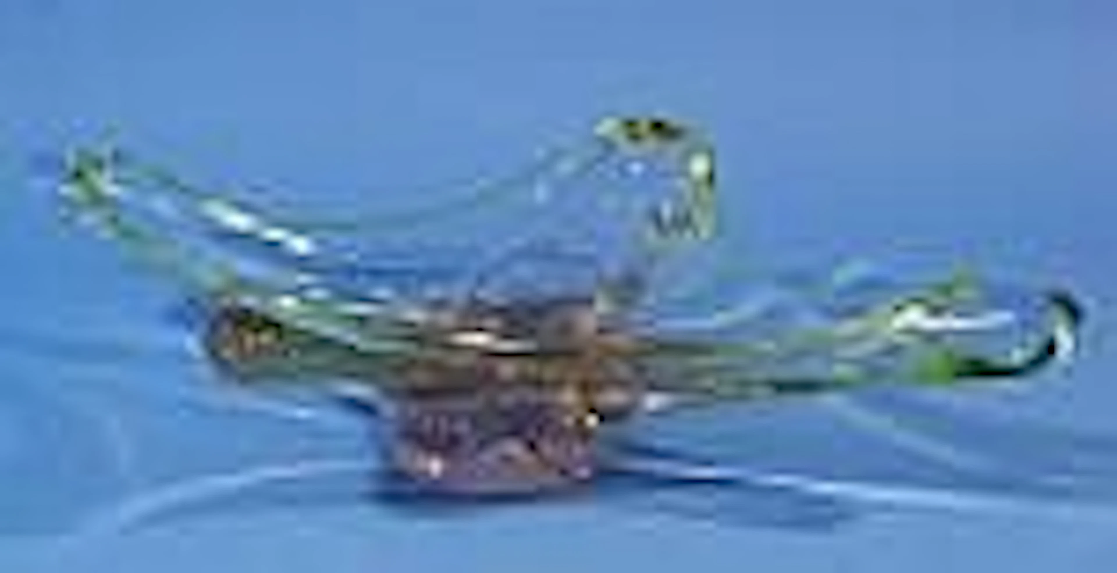 Glass dish, l. 43,5 cm.