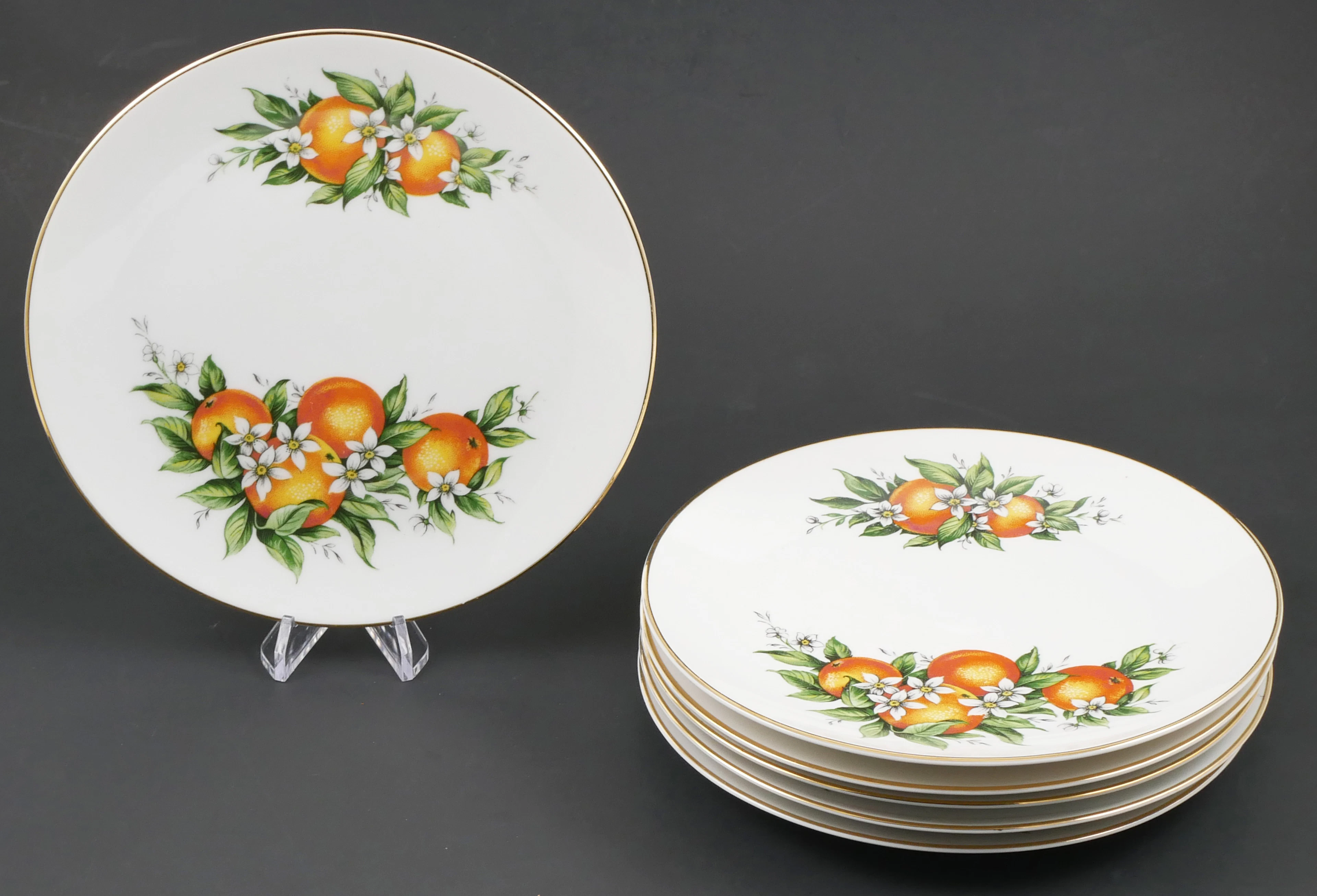 (6) FLORIDA ORANGES Plates Bavaria Germany