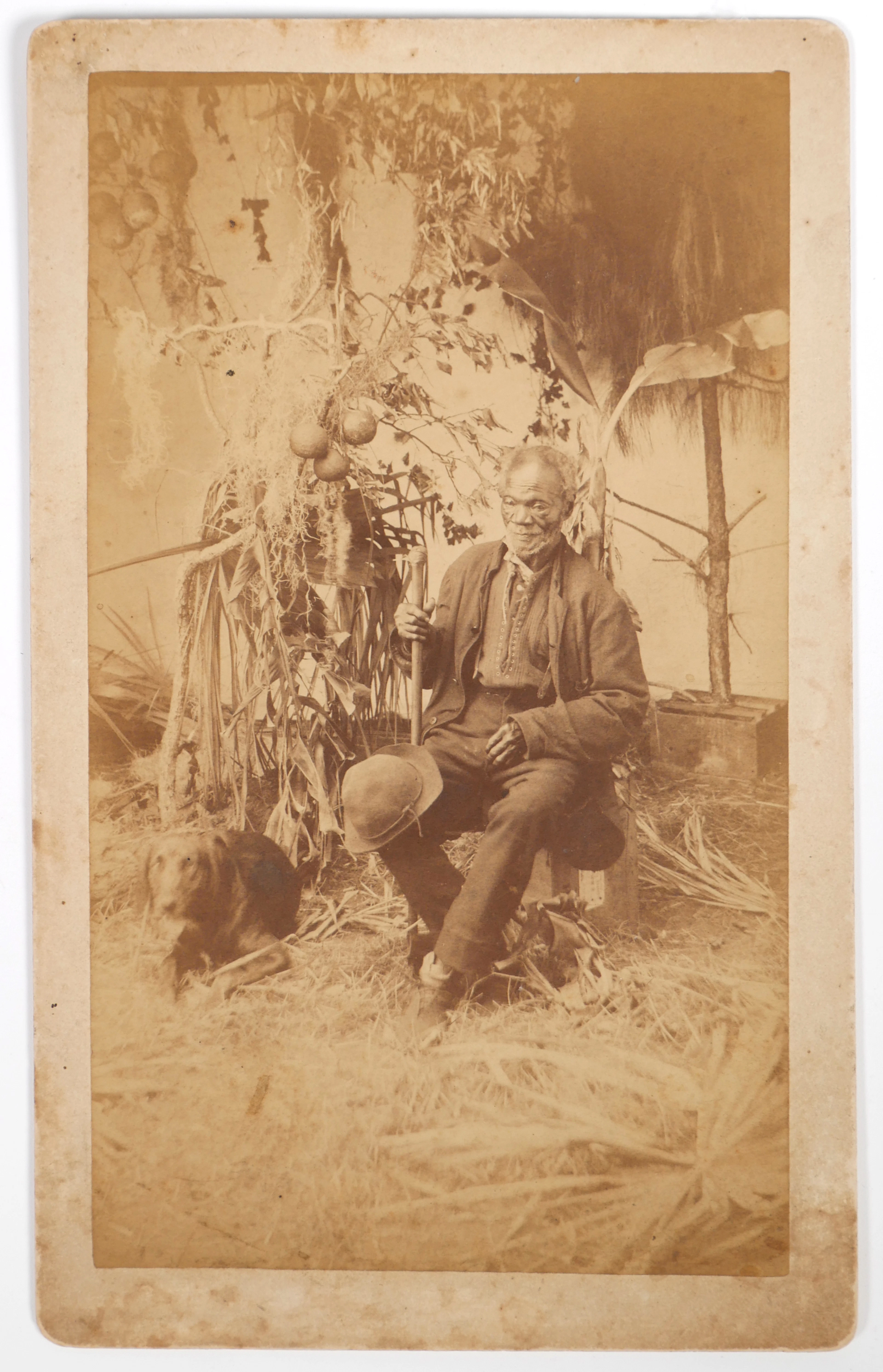 TITUSVILLE Cabinet Photo "Old Black Joe"