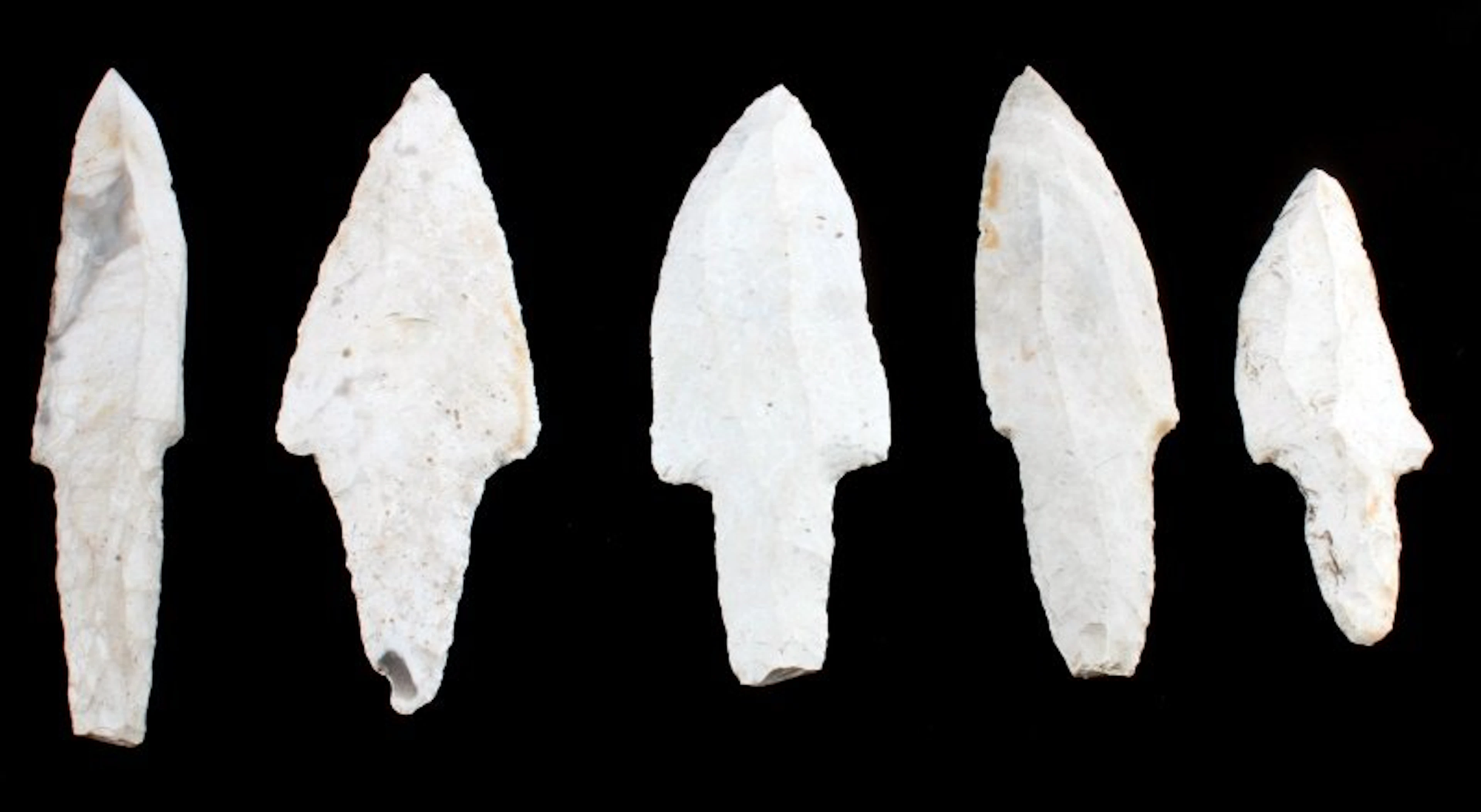 Mayan belize white chert blade point lot of 5