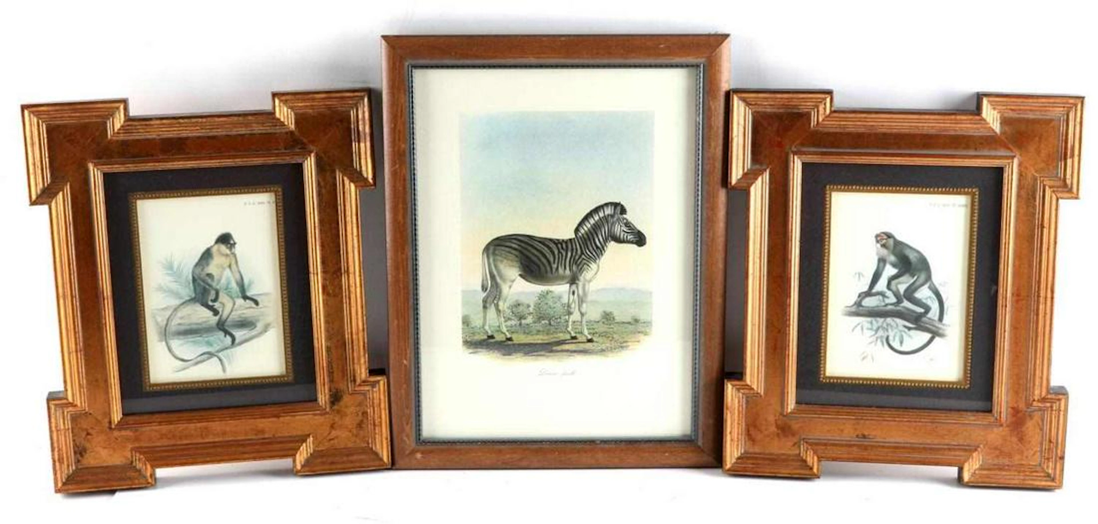 Lot zoomorphic lithographs 1893 & frederick cuvier