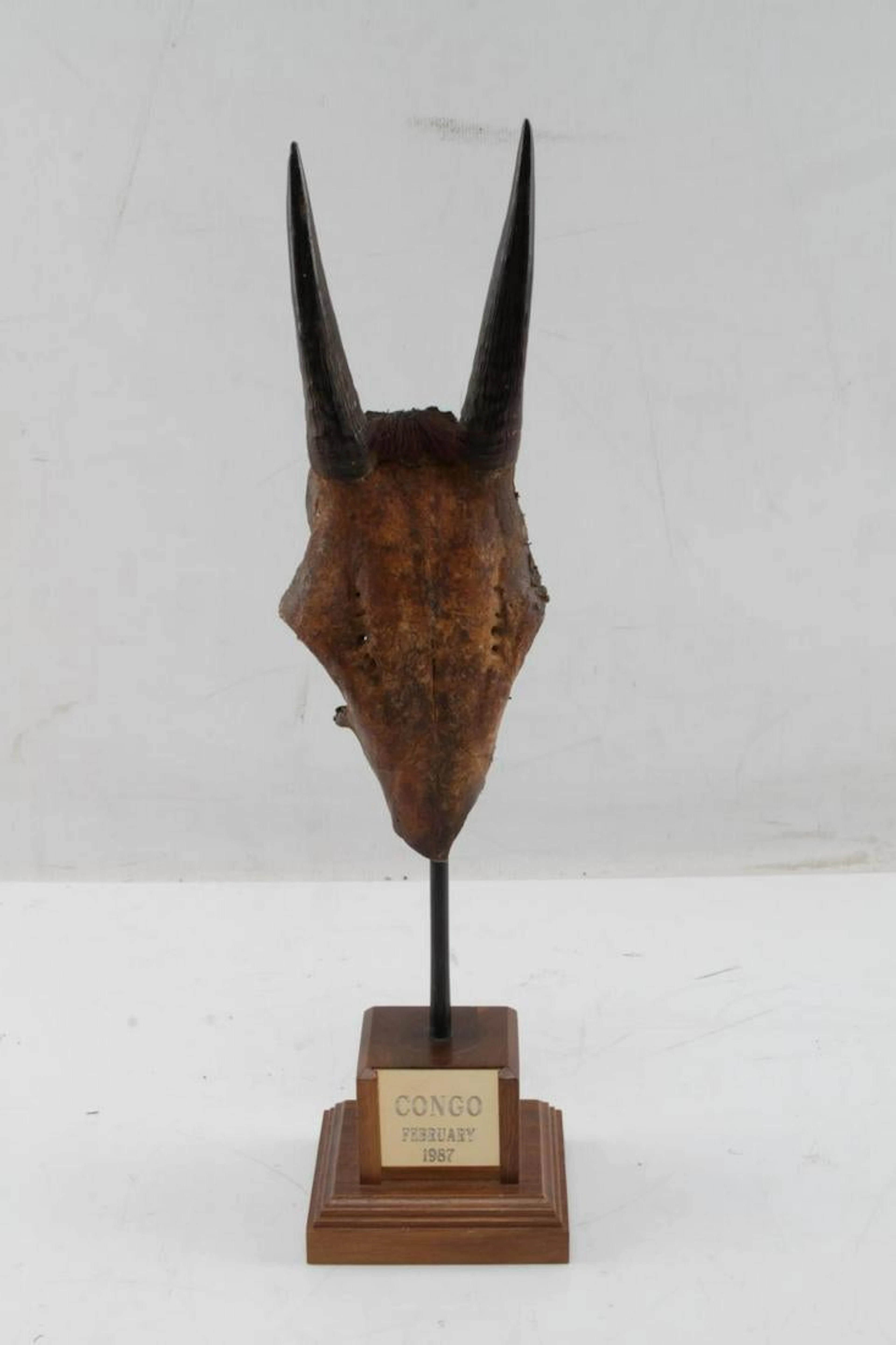 Handcarved wooden gazelle head congo