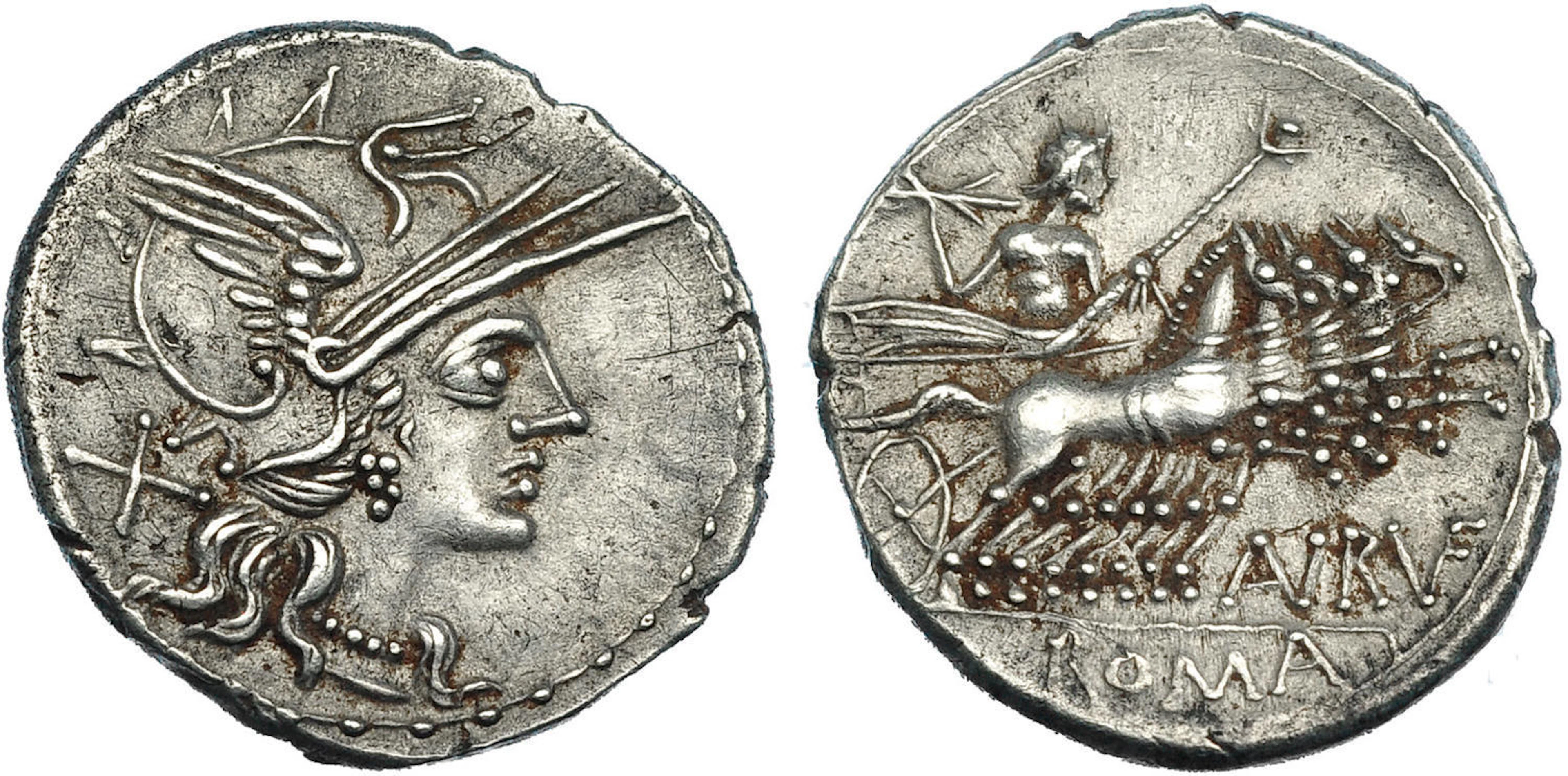 AURELIA