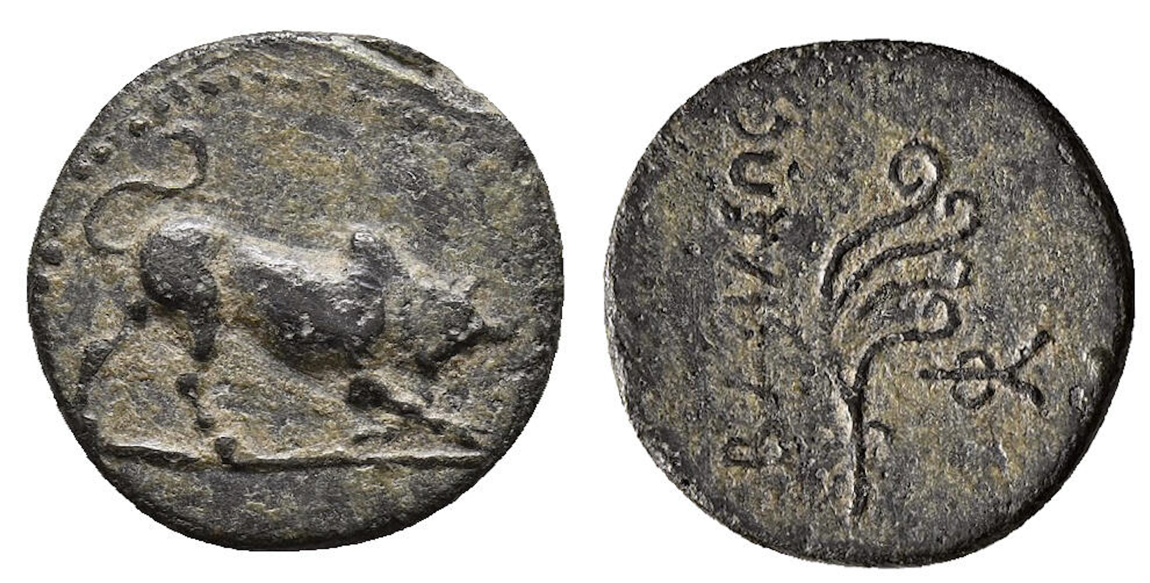 GREEK COINS