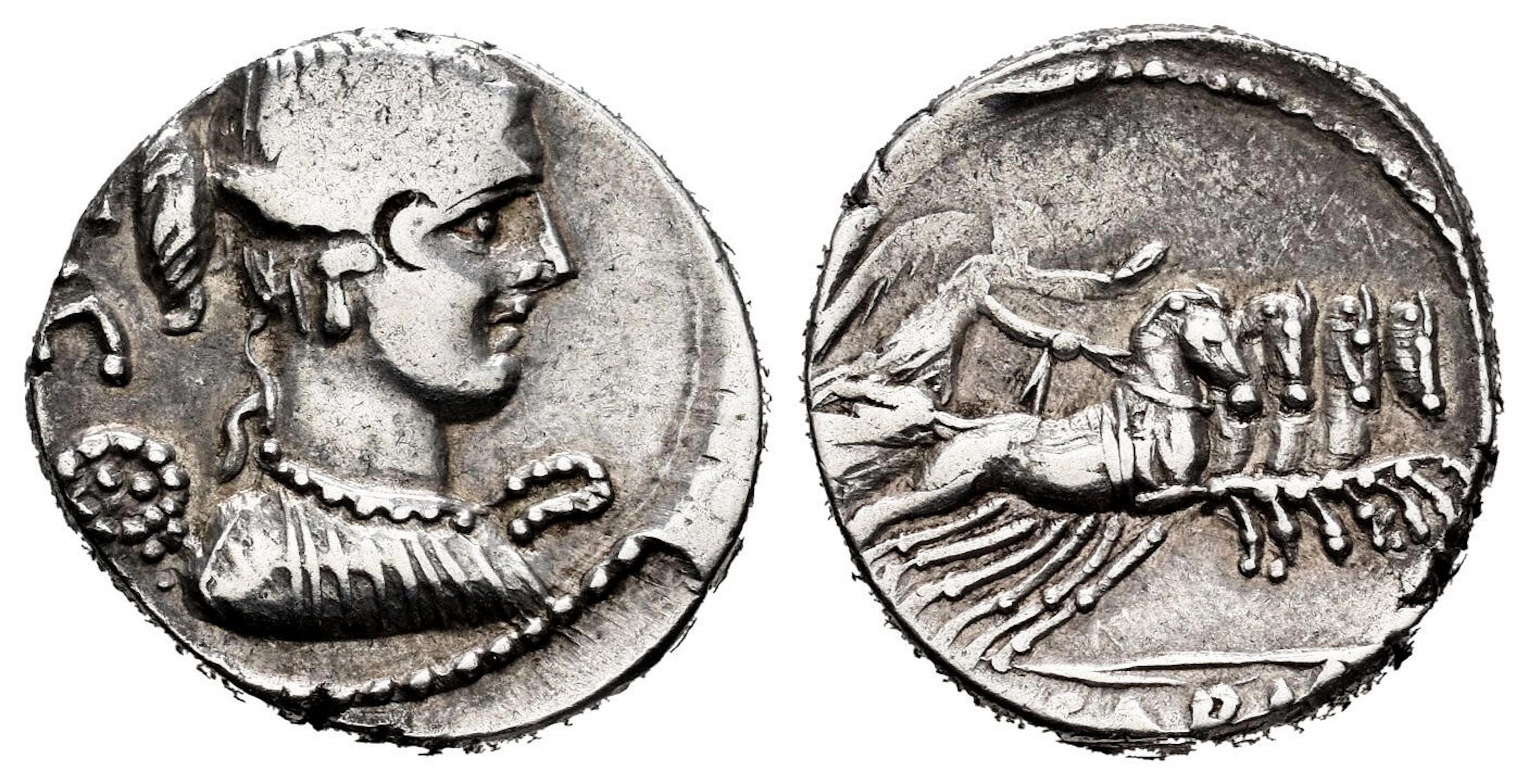 Carisius