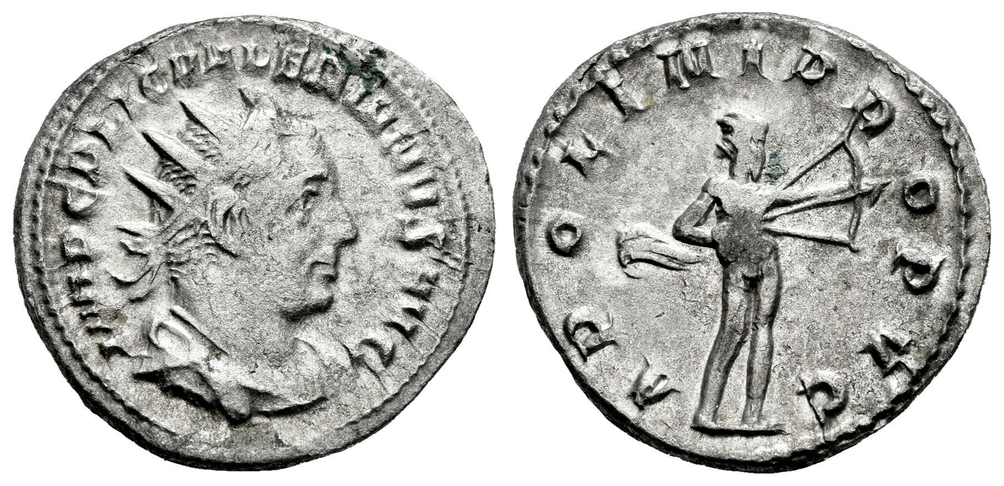 Spanish Description:
