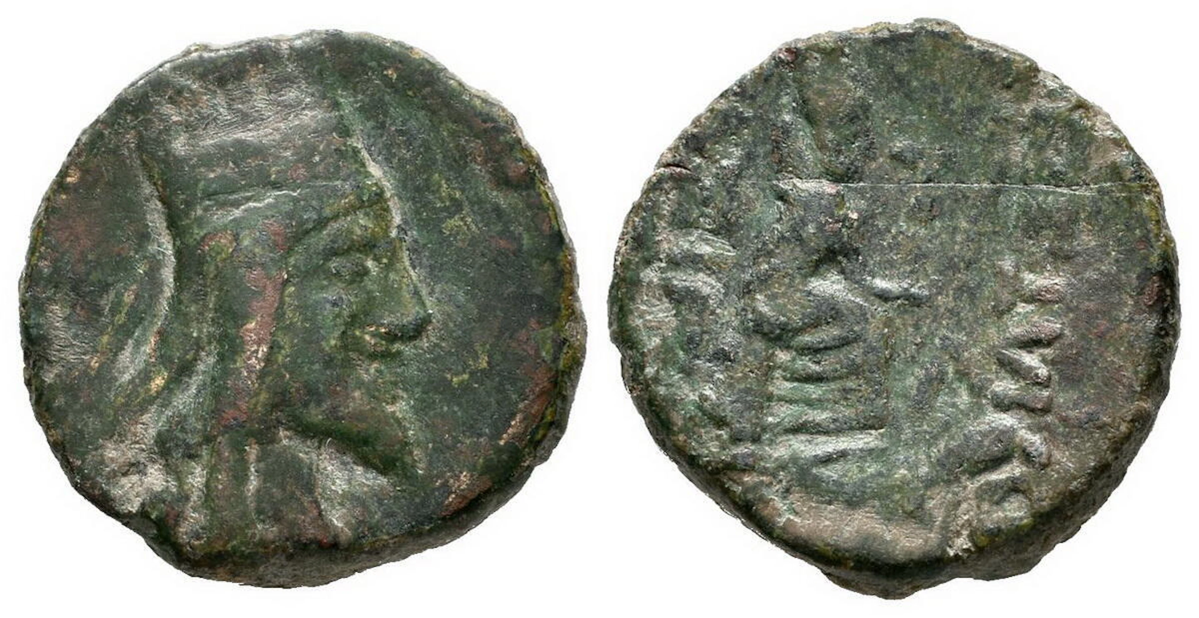 Tigranes IV