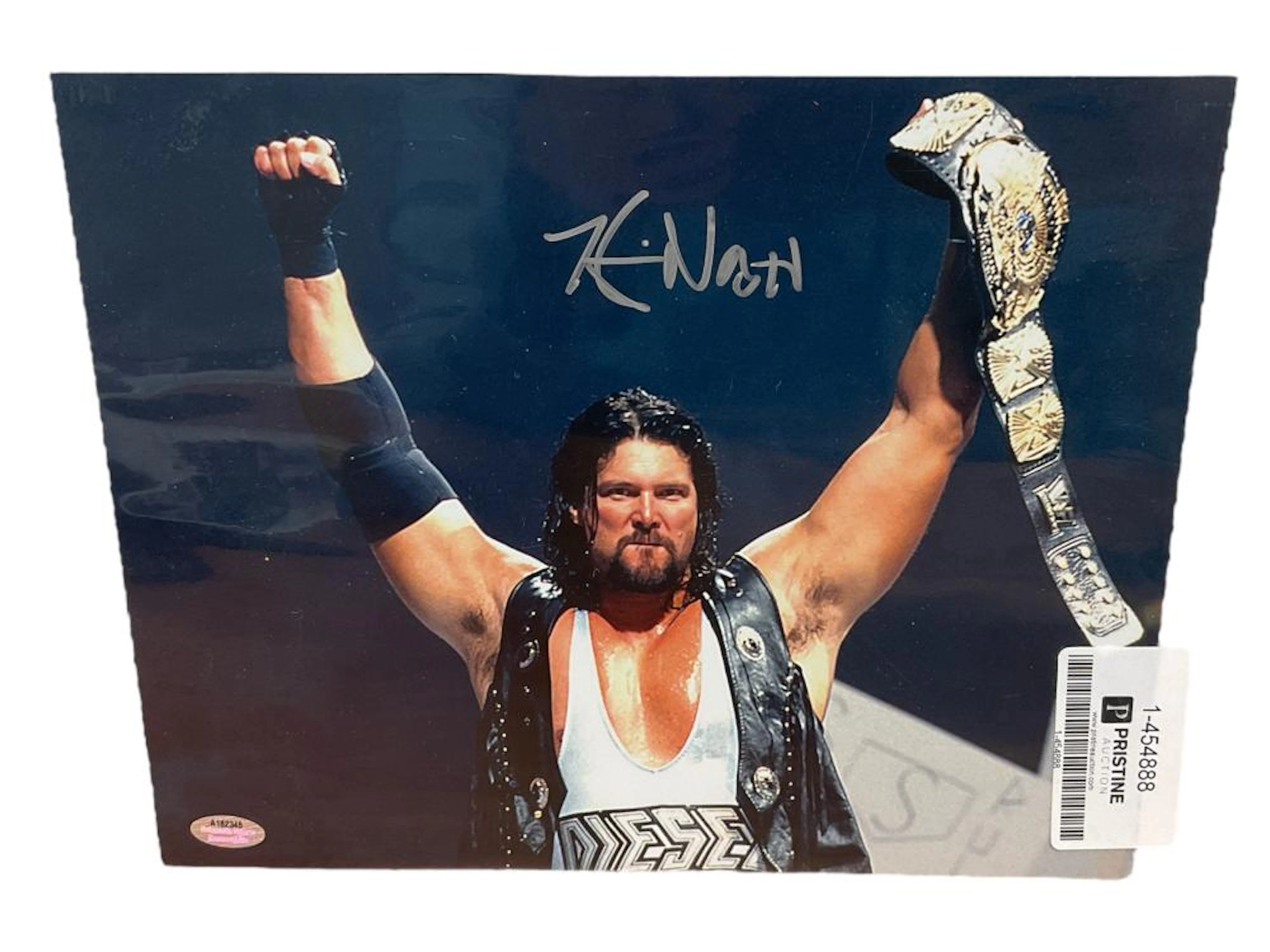 Kevin Nash/Diesel
