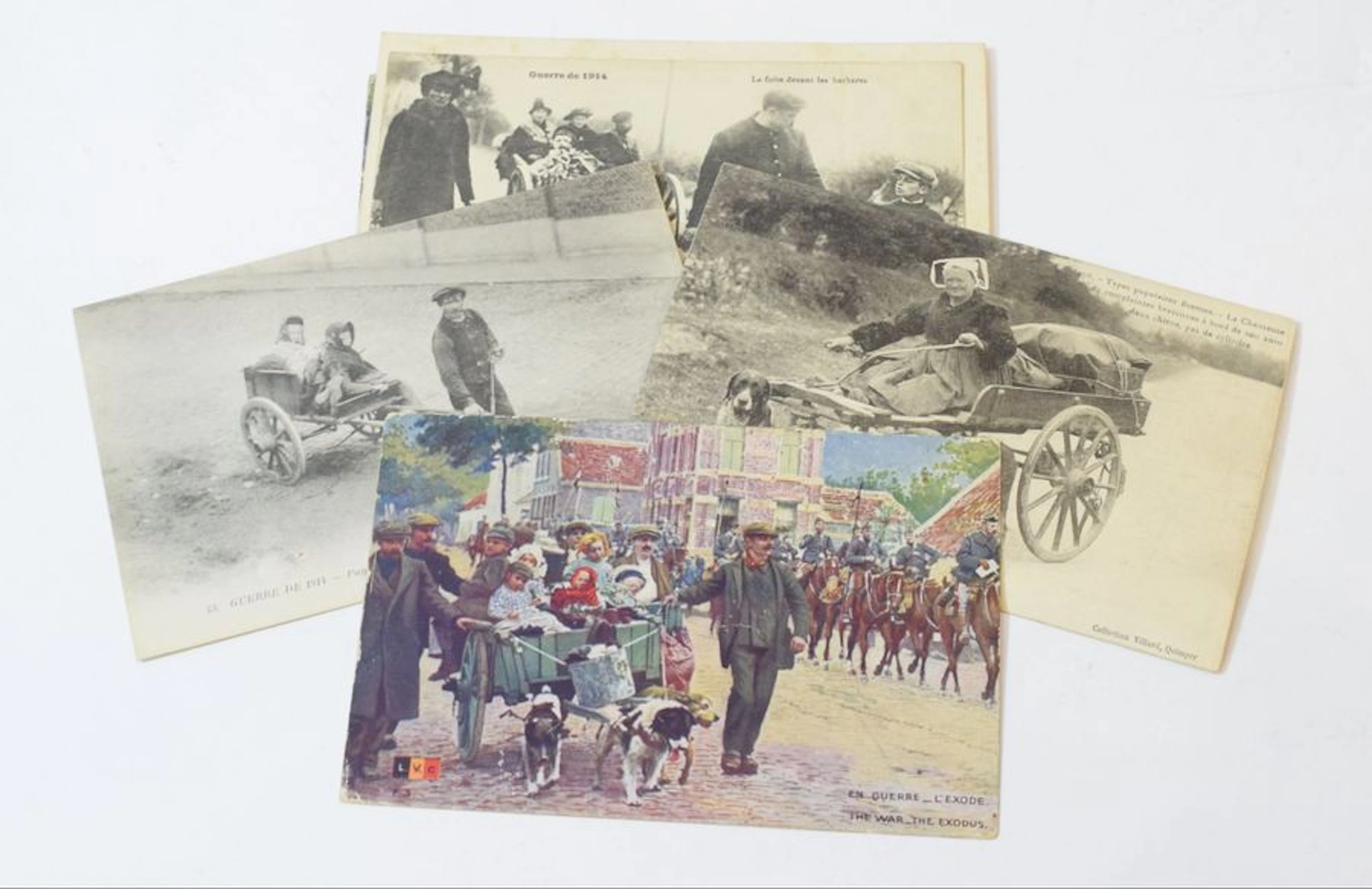 ATTELAGE de chiens 7 cartes postales anciennes…