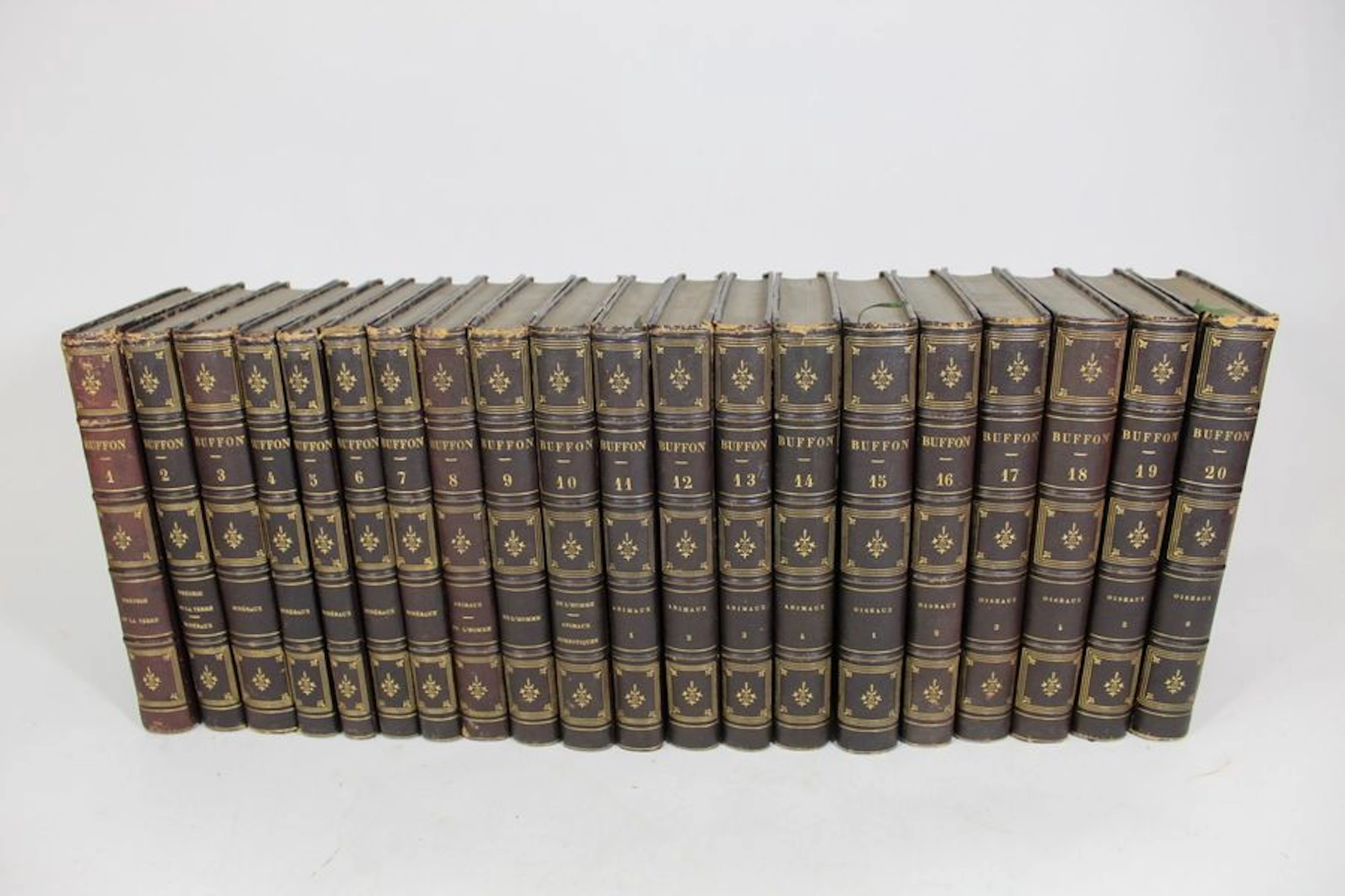 BUFFON Georges-Louis Leclerc (comte de). Oeuvres... - Lot 197 - Rossini