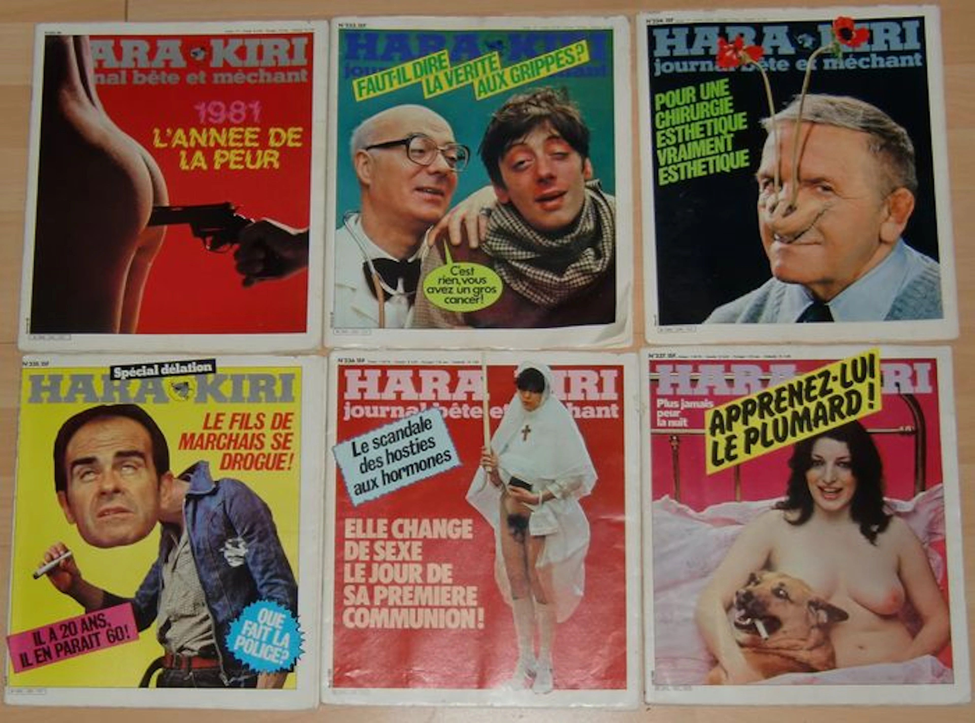 Tijdschrift; Hara-Kiri Mensuel, bete et mechant, complete jaargang 1981