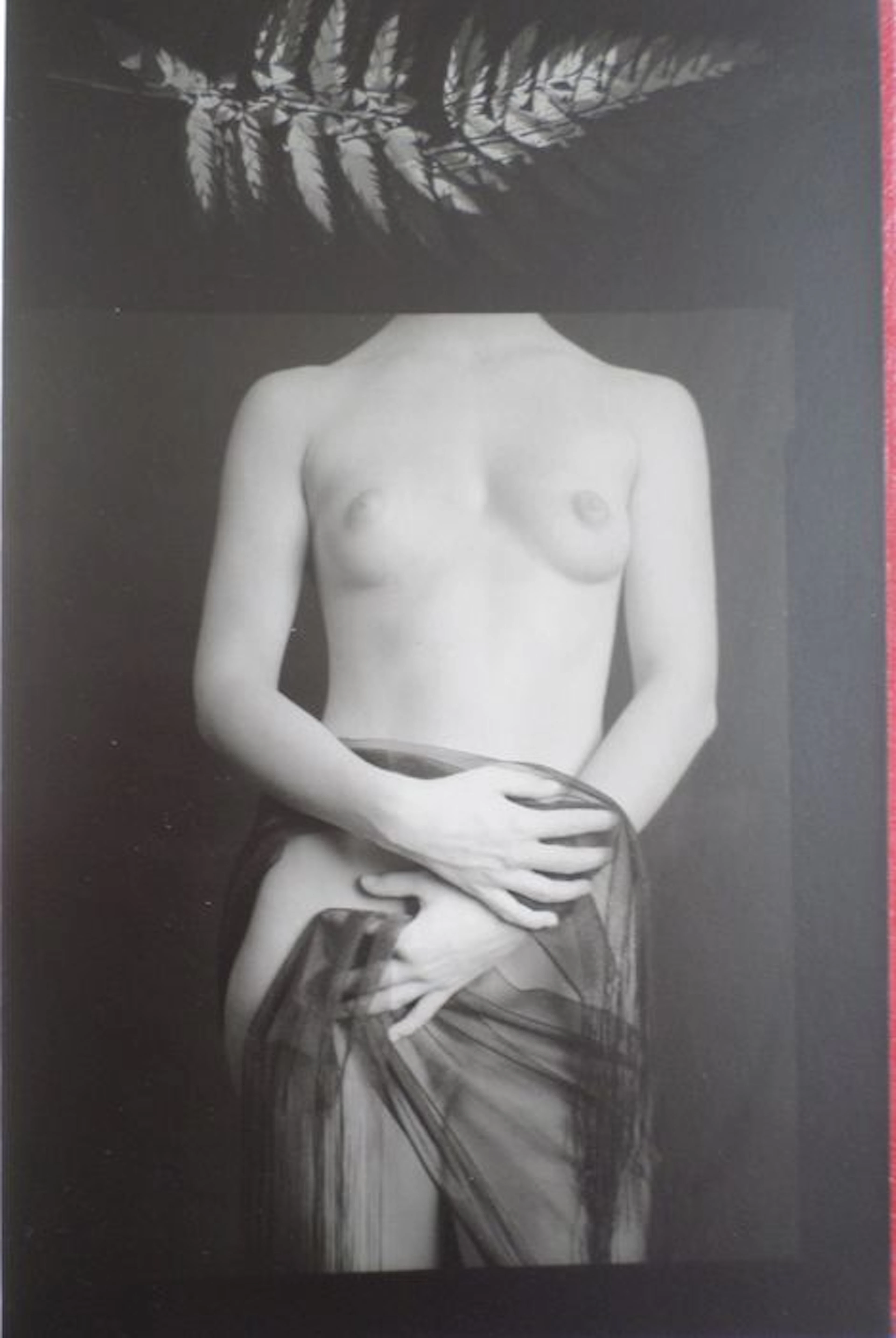 Kunstenaarsboek van Blanka Wasowicz zonder titel uit 1995