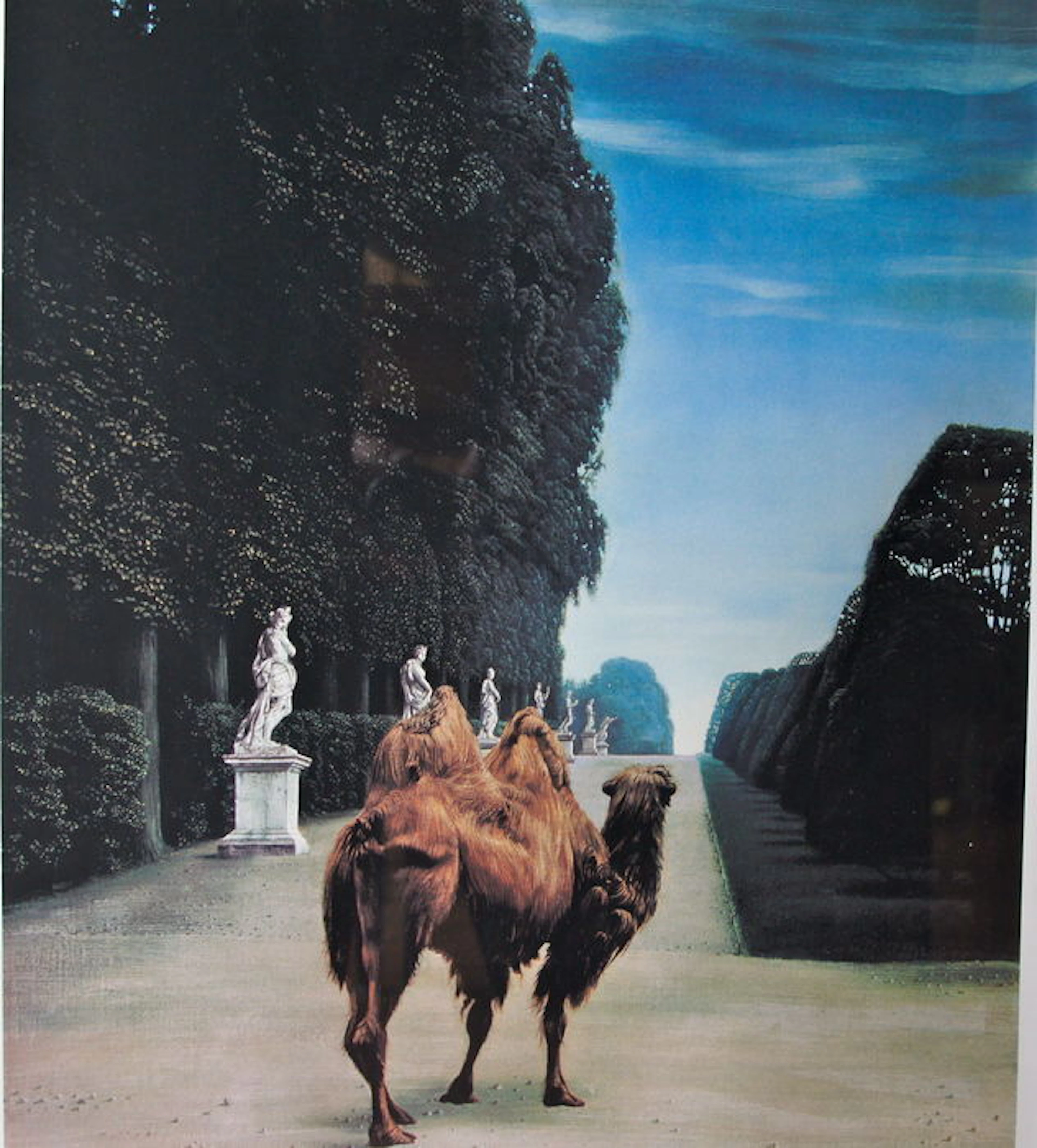 Carel Willink ( 1900 - 1983 )
