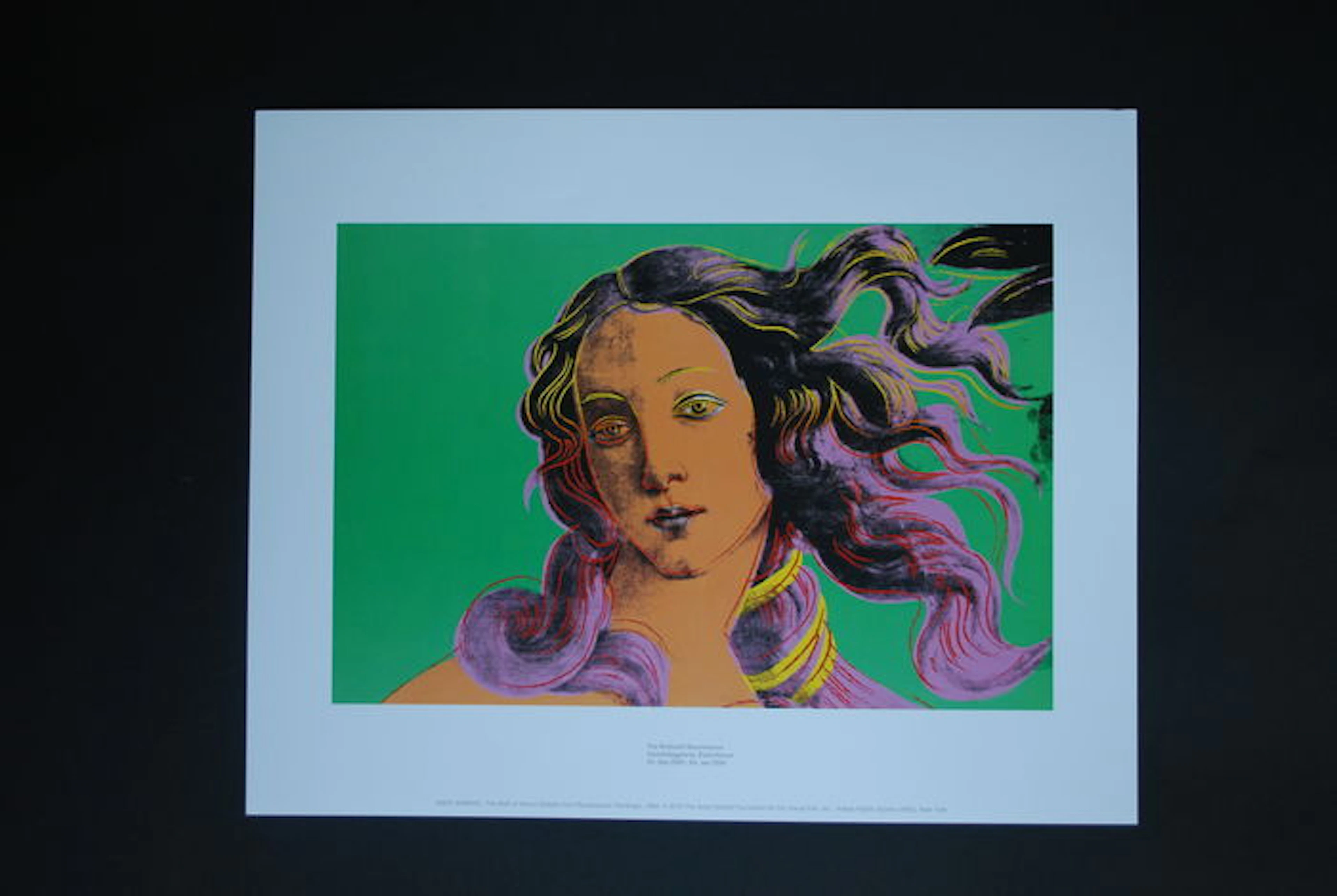 Andy Warhol - The Birth of Venus- 2015