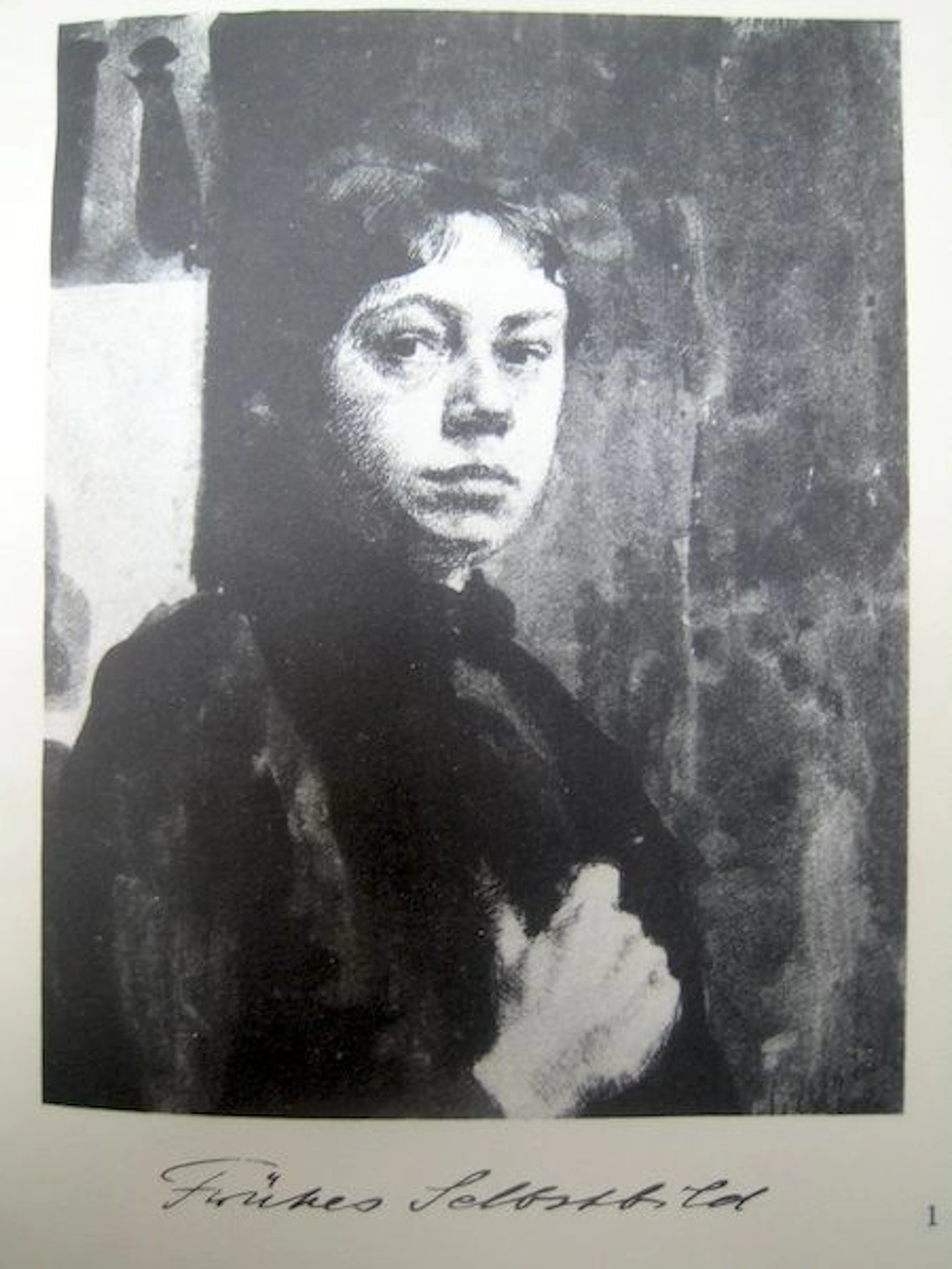 Käthe Kollwitz; Das Käthe Kollwitz Werk - 1930