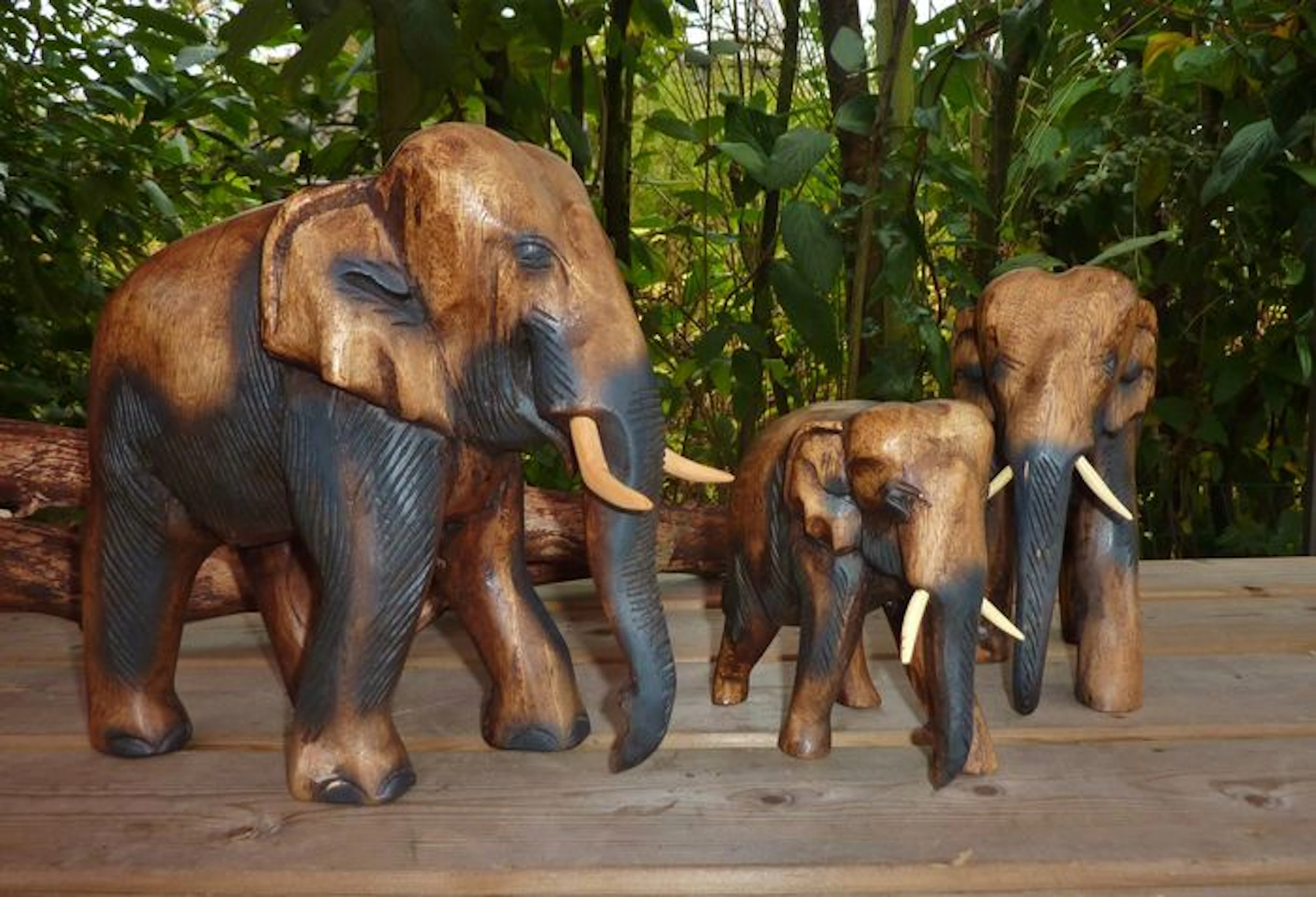 Drie grote Indische olifanten - zwaargewichten - massief hout