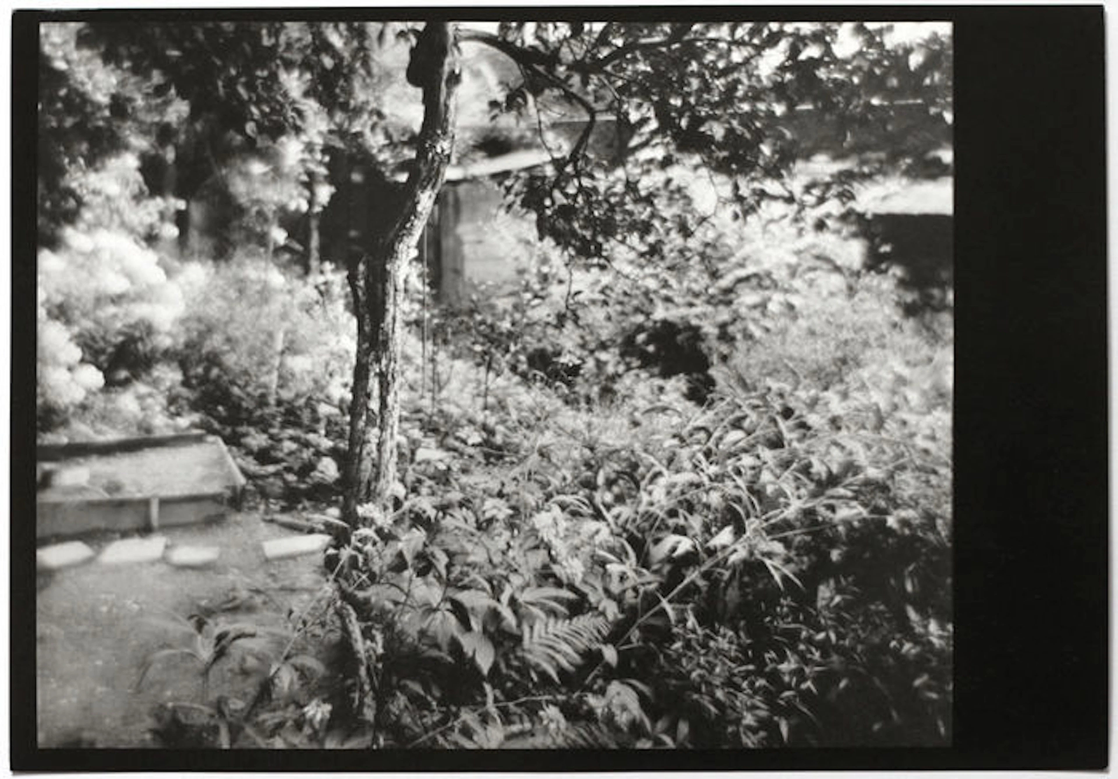 Josef Sudek