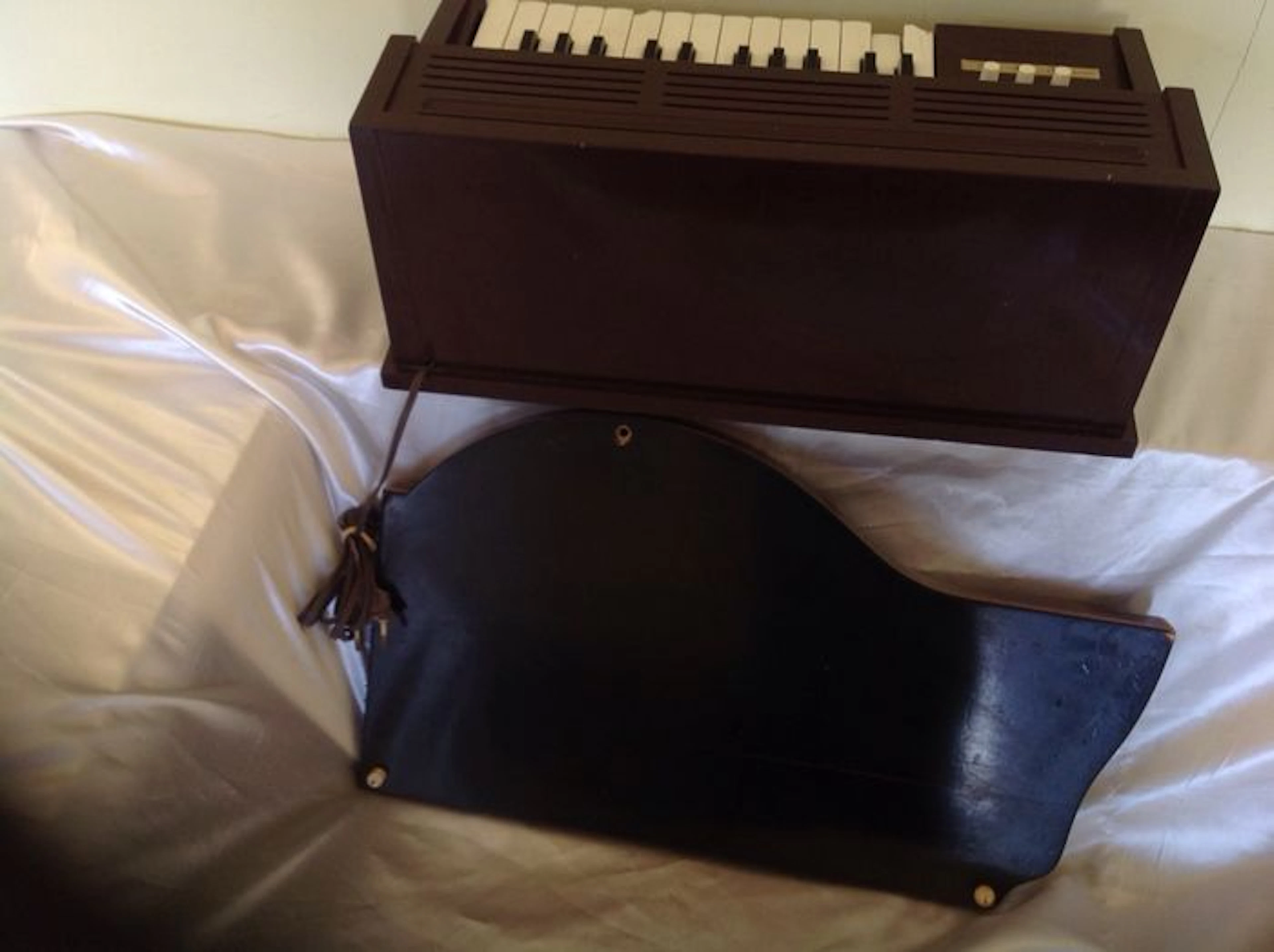 Lot van 2 muziek instrumenten voor de hobbyist