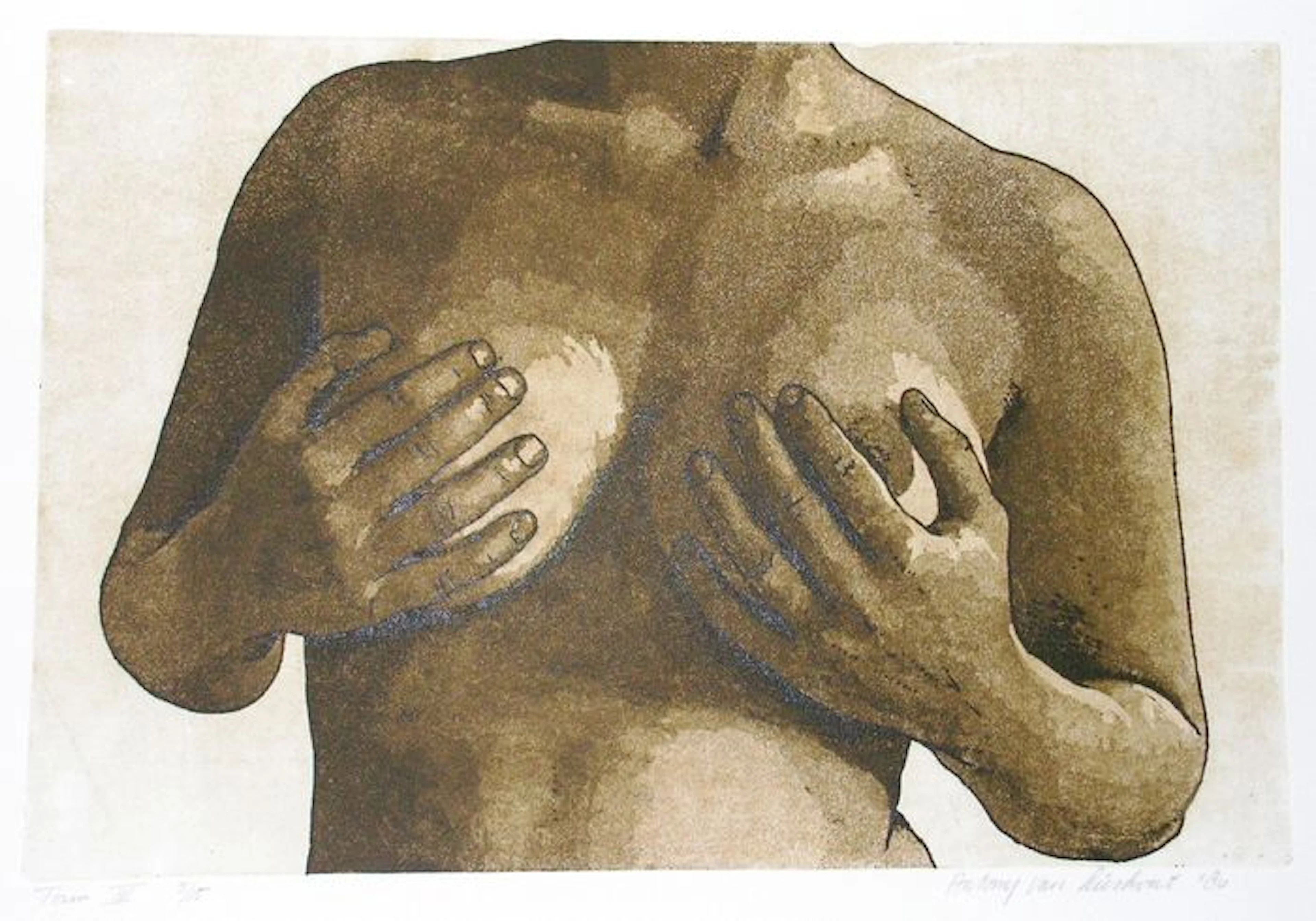 Anthony van Lieshout - Torso IV