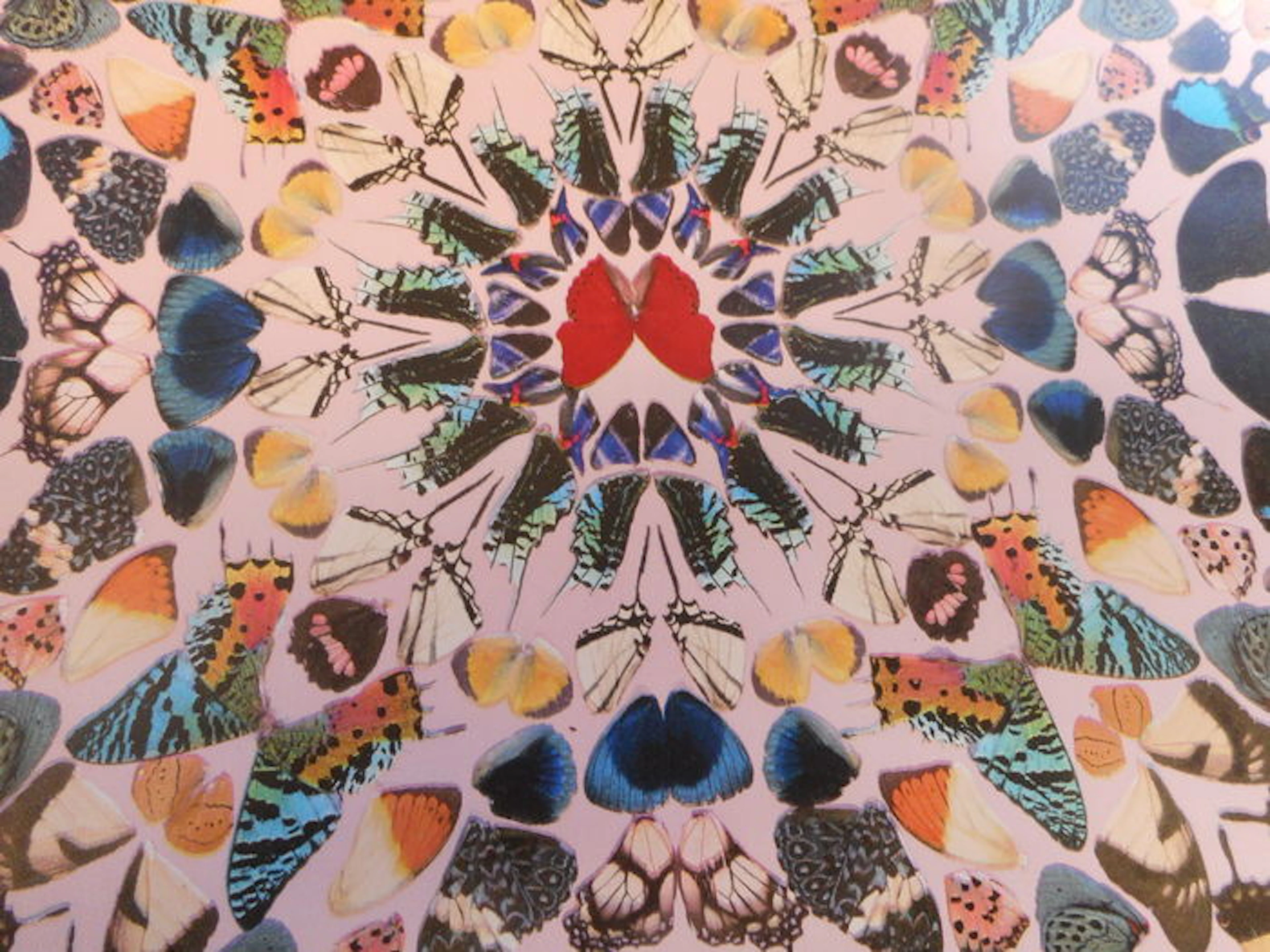 Damien Hirst - Butterflies