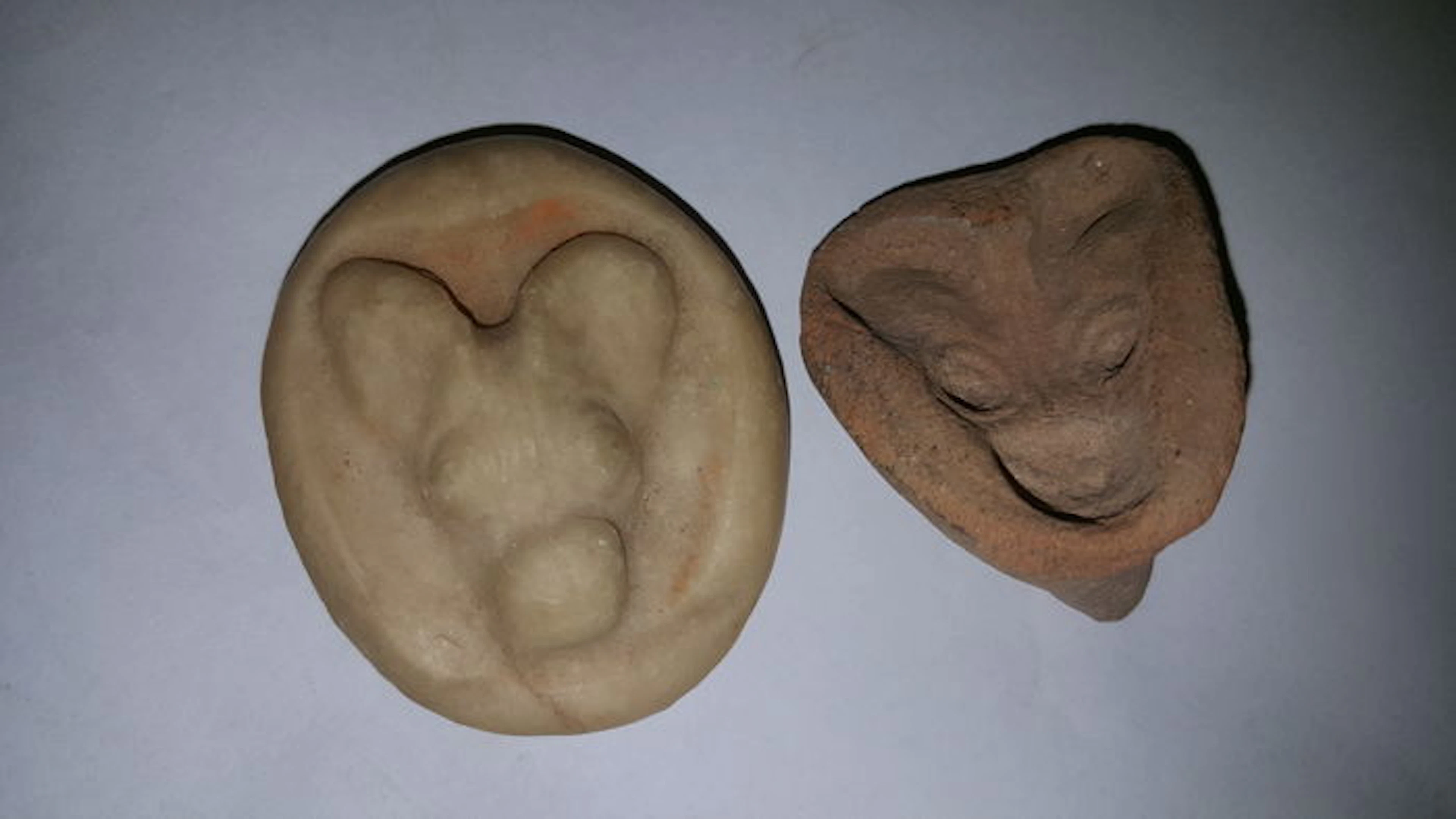 Roman-Egyptian terracotta mould representing an animal head, 41 x 35 mm