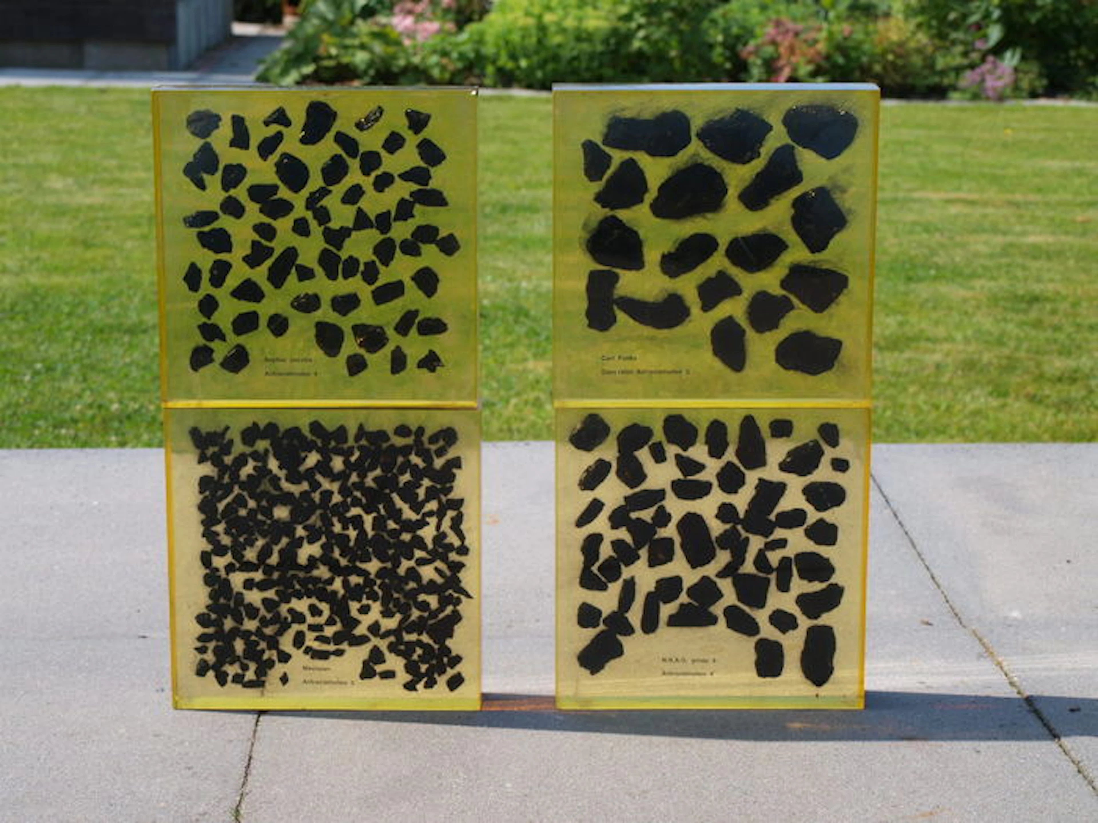 Unusual plexi-glass blocks with different coal