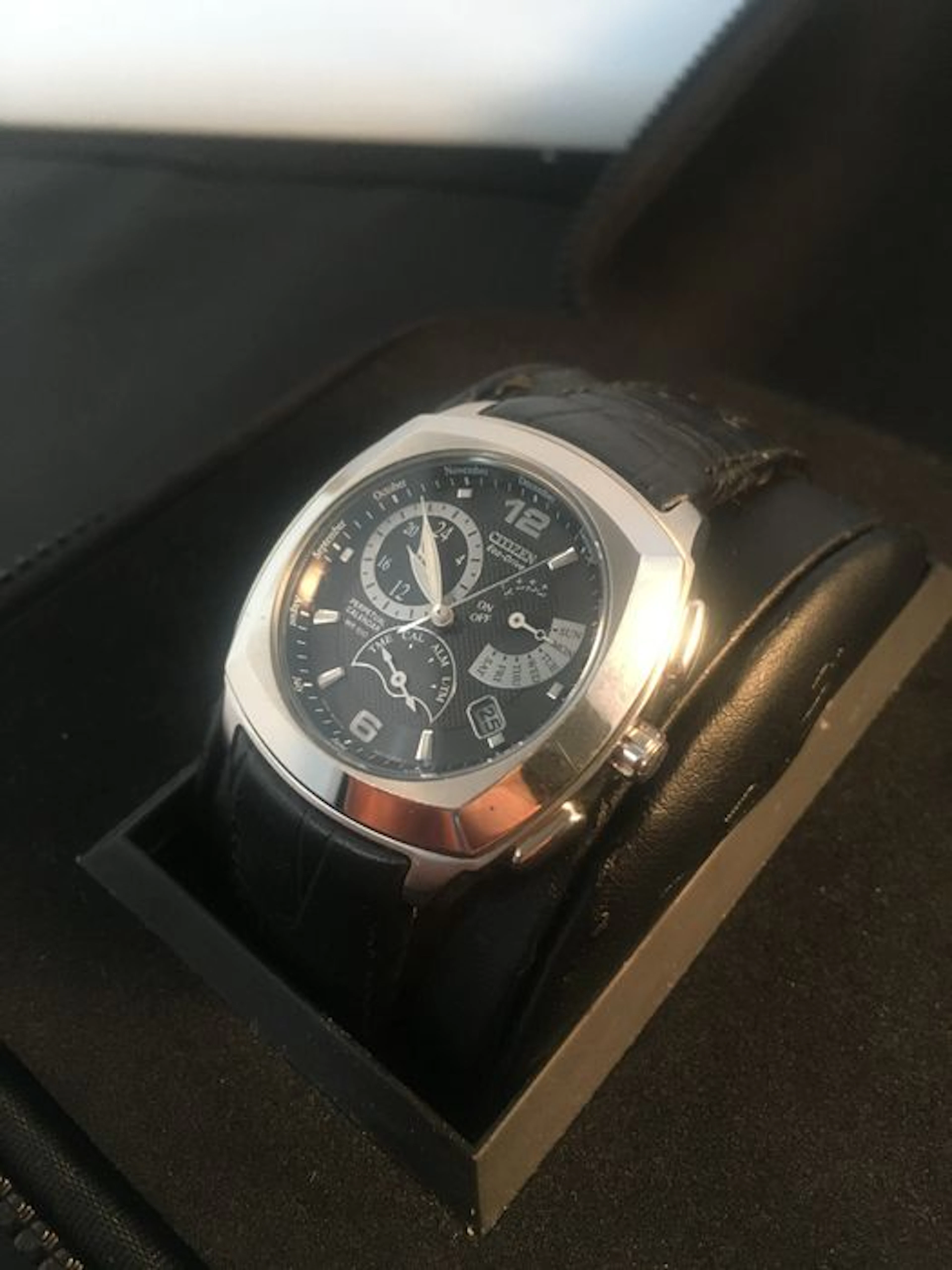 Citizen Ecodrive WR 100 Perpetual Calendar