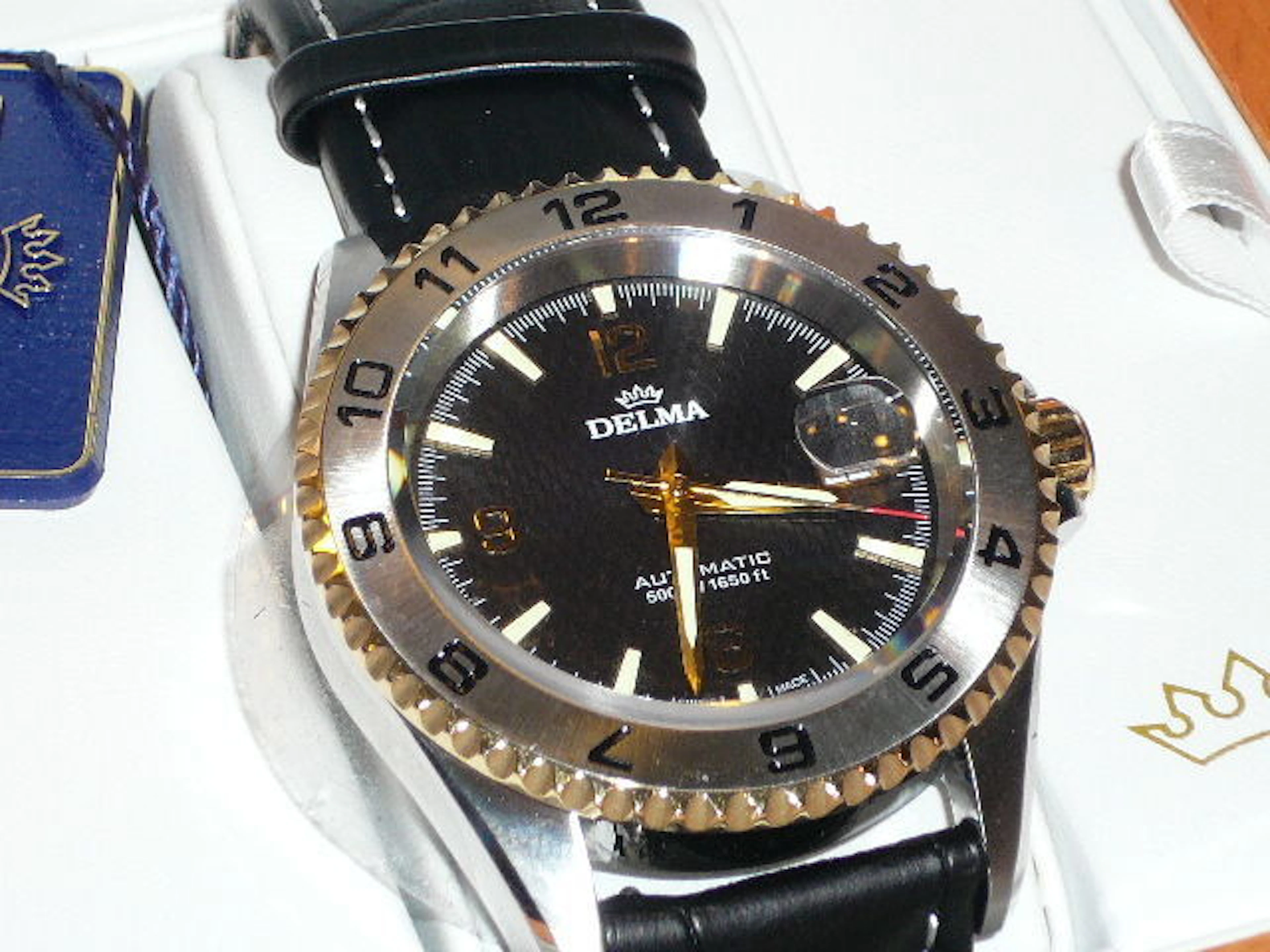 DELMA - men's diving watch
