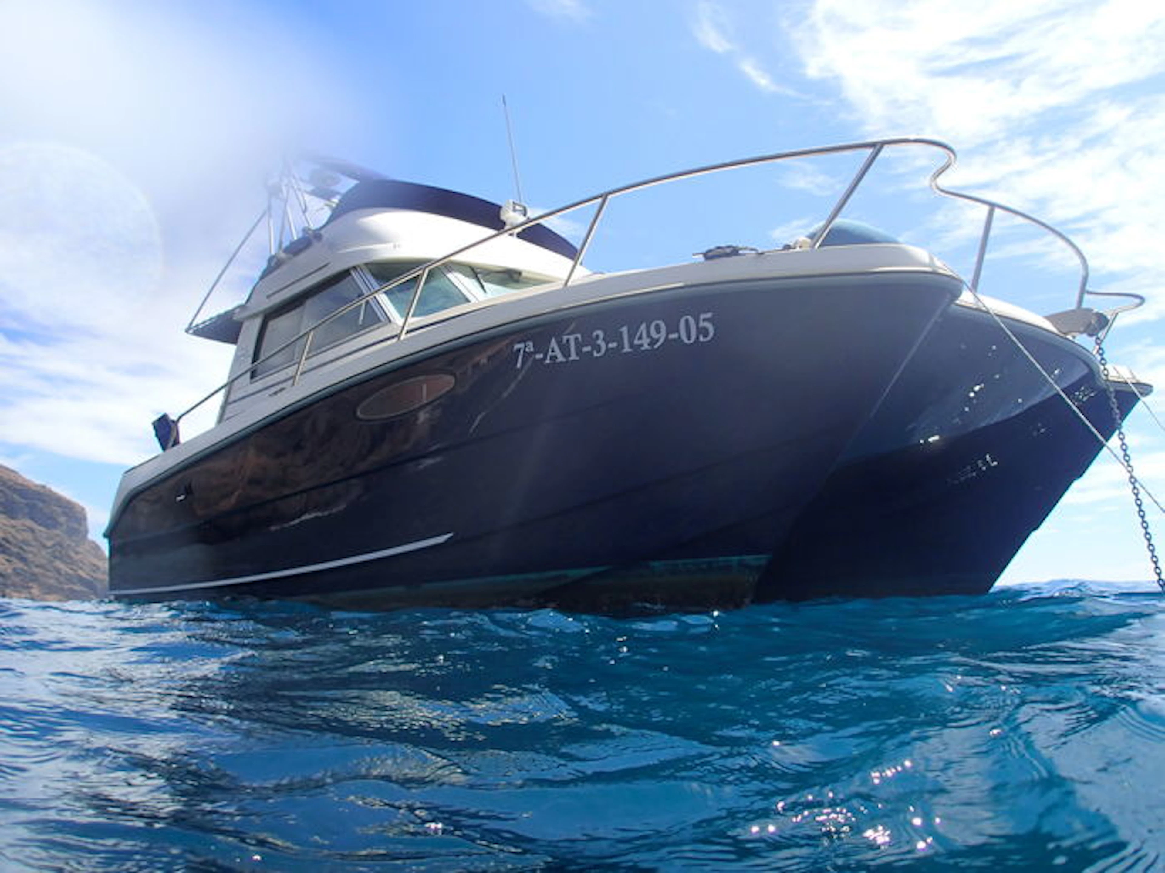 Catamarán a motor "ExciteCat 810 Fly" - 2005