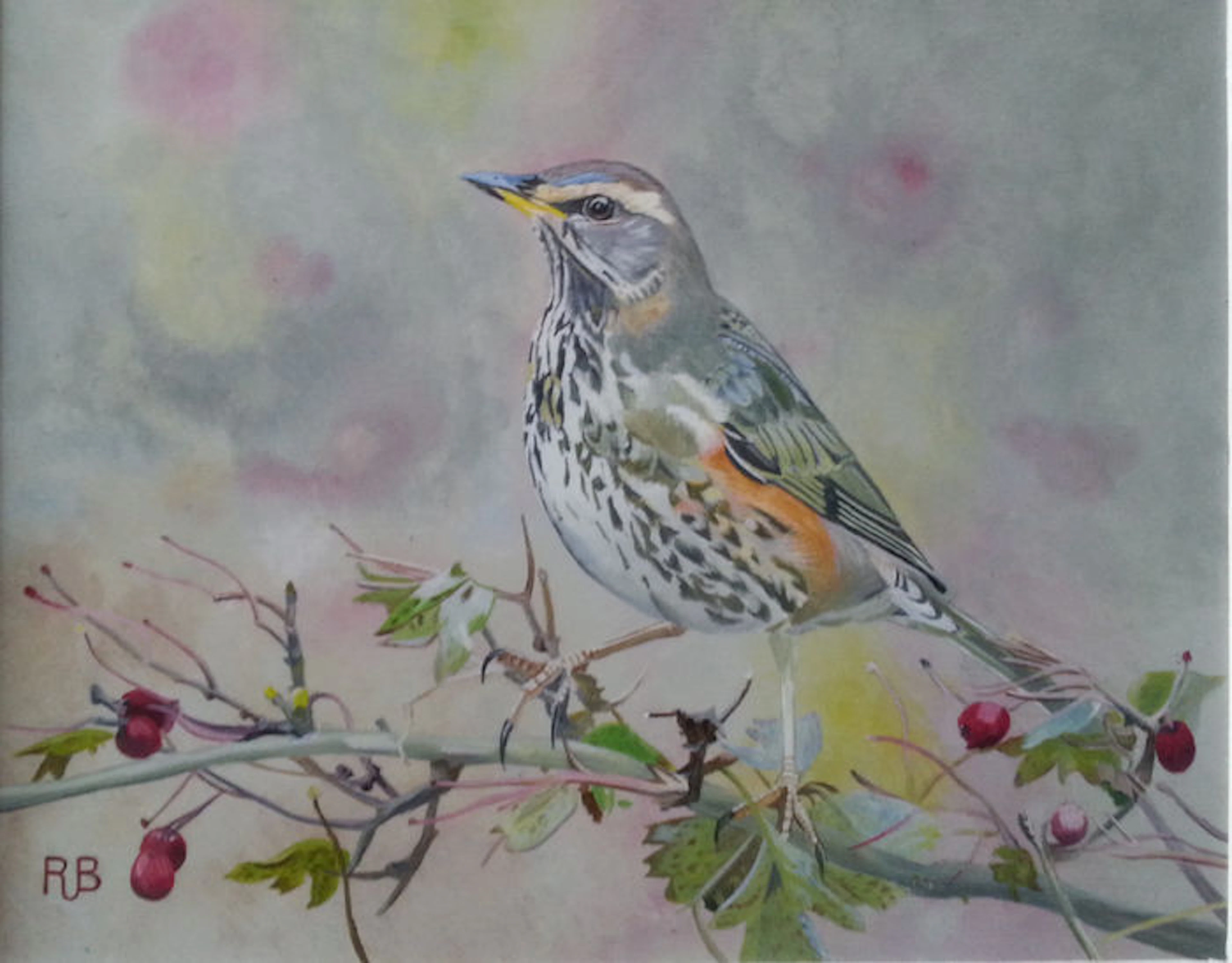 2x Ron Brinkman (21st century) - One of a robin, the other of a redwing