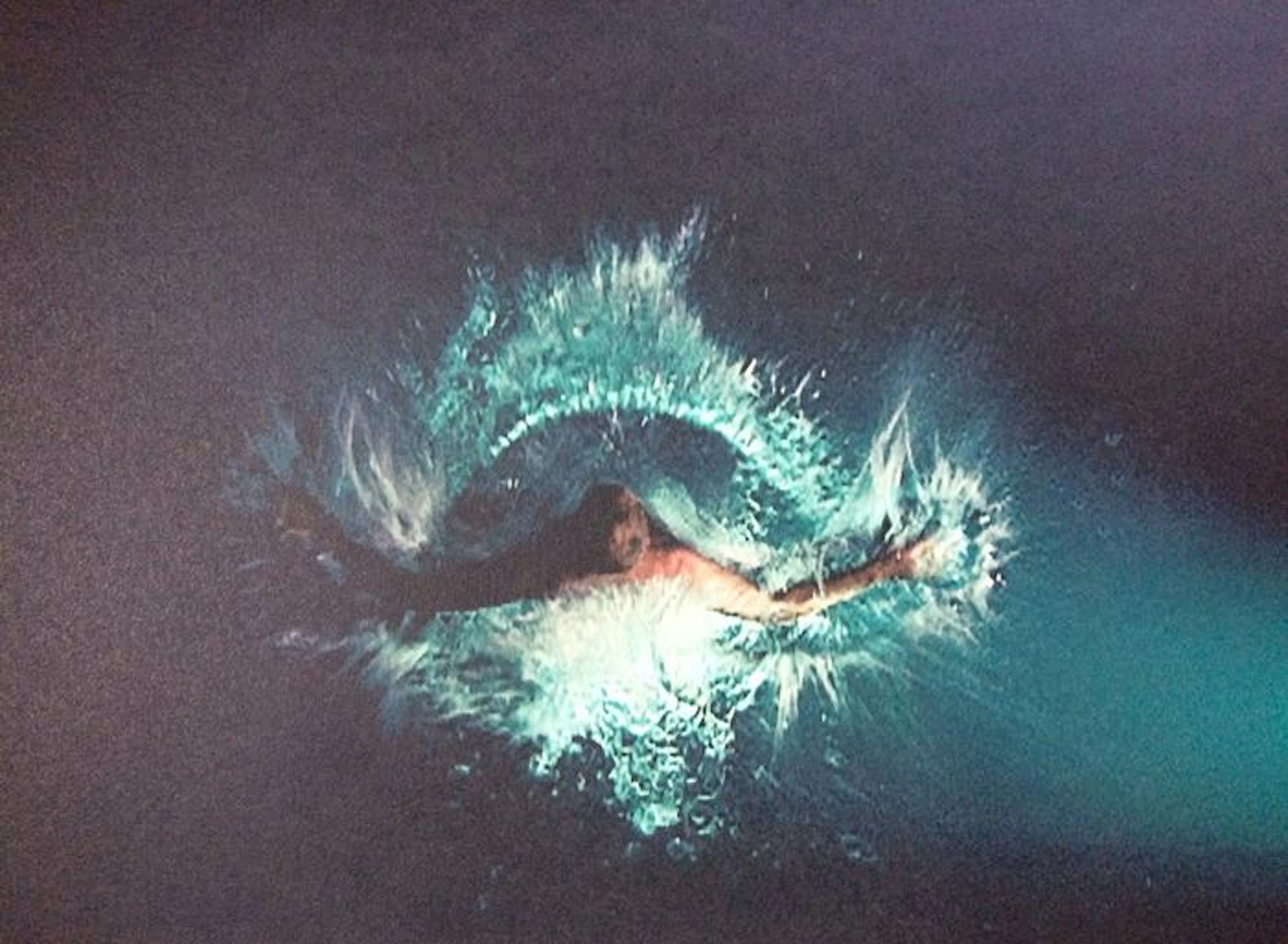 Bill Viola - Creation Angel