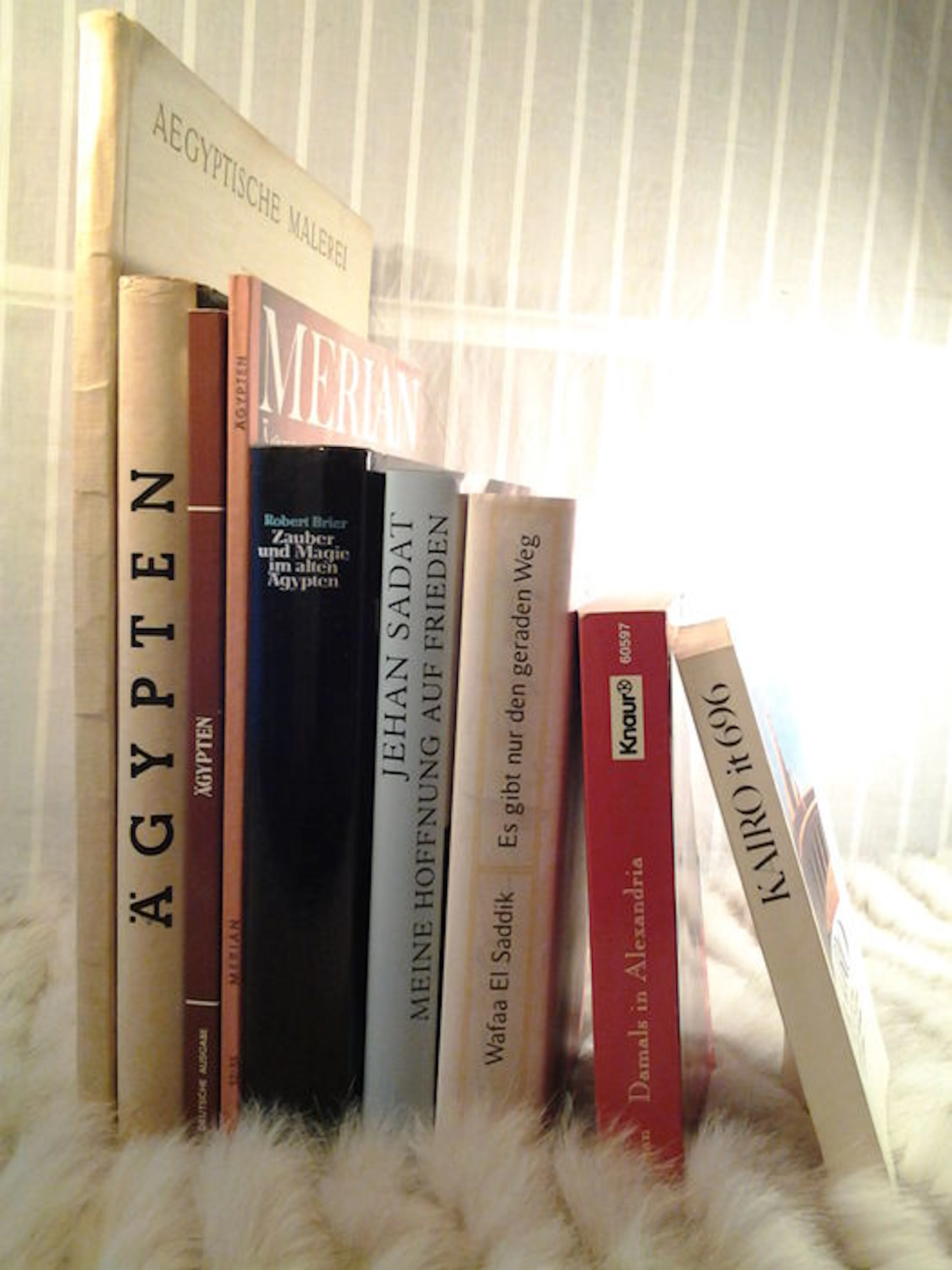 9 German-language works on Egypt - 1959/2013