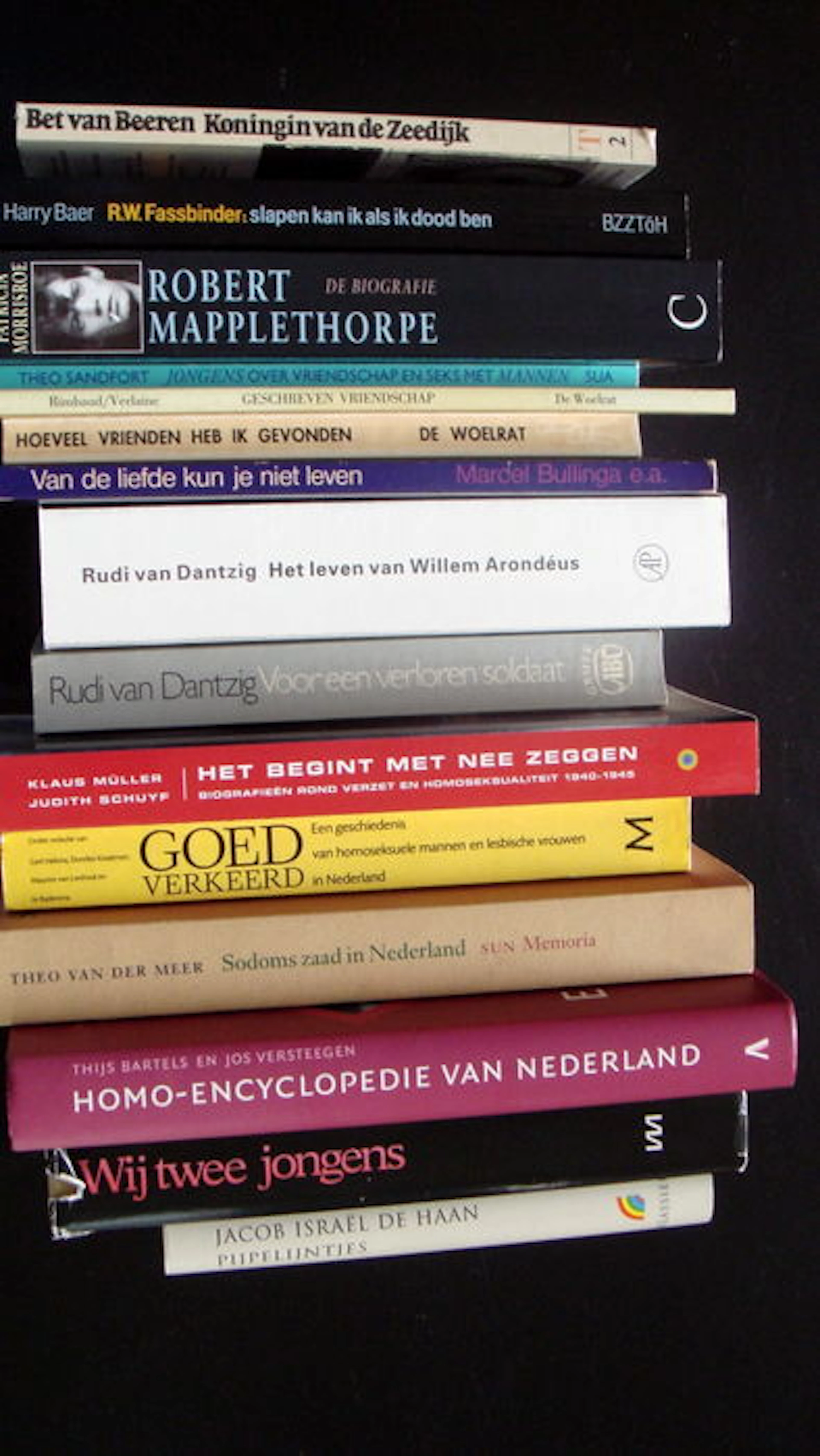Lot with 15 Dutch Gay Interest books