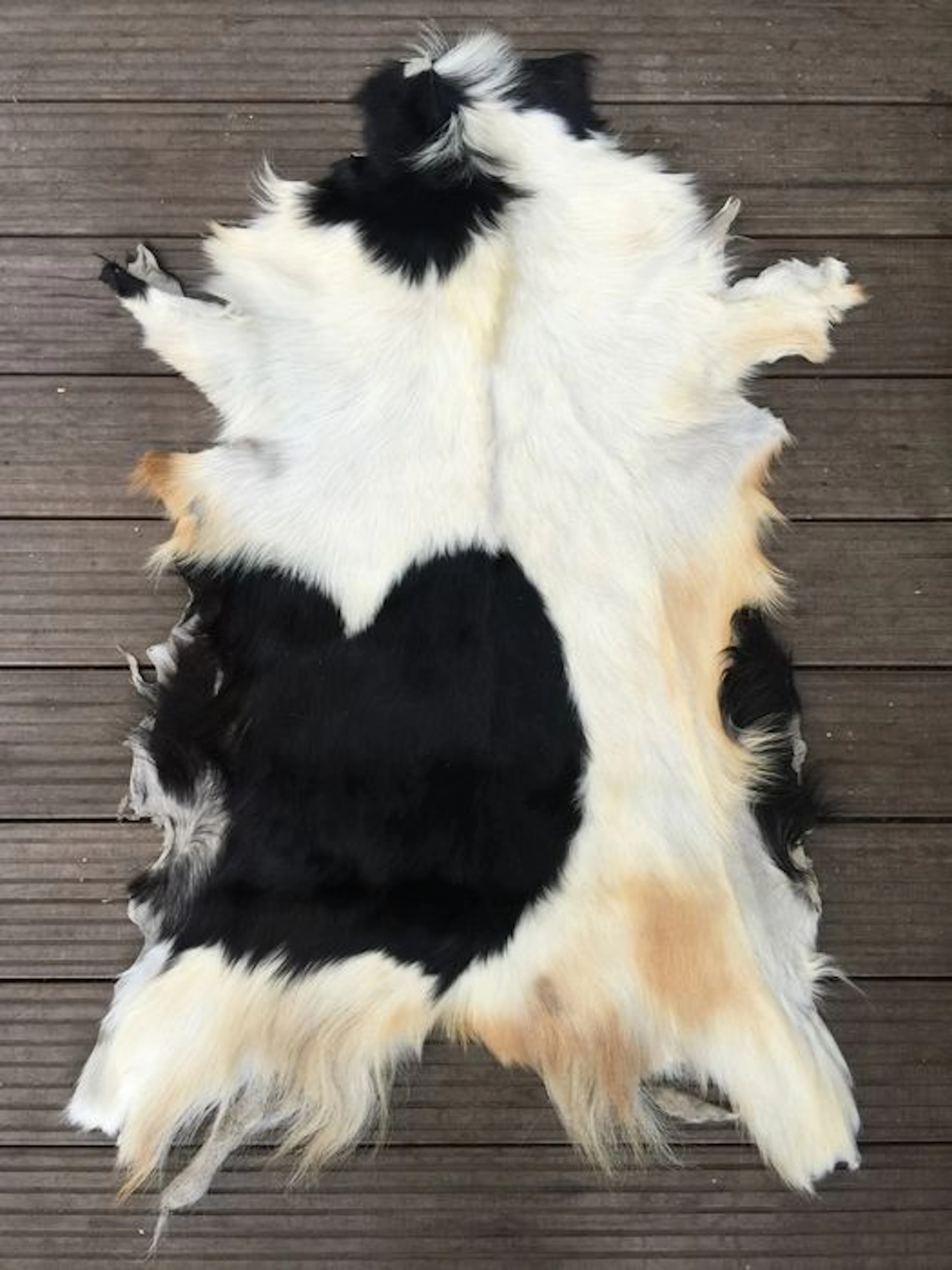 Large champagne/ white/ black genuine goatskin fur rug carpet // 116cm