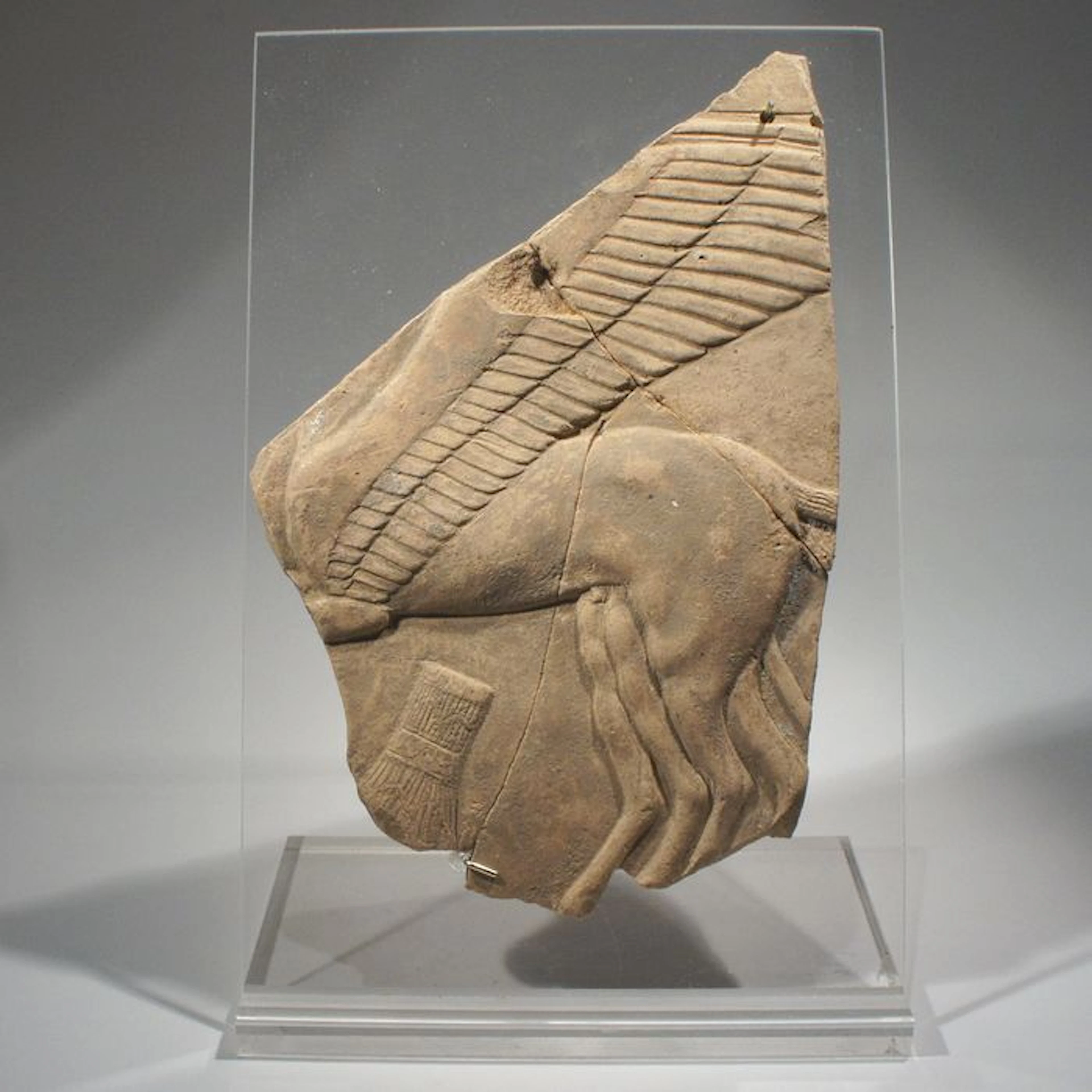 Greek fragment of a terracotta votive plaquette; two winged horses. S: 20 x 13 cm